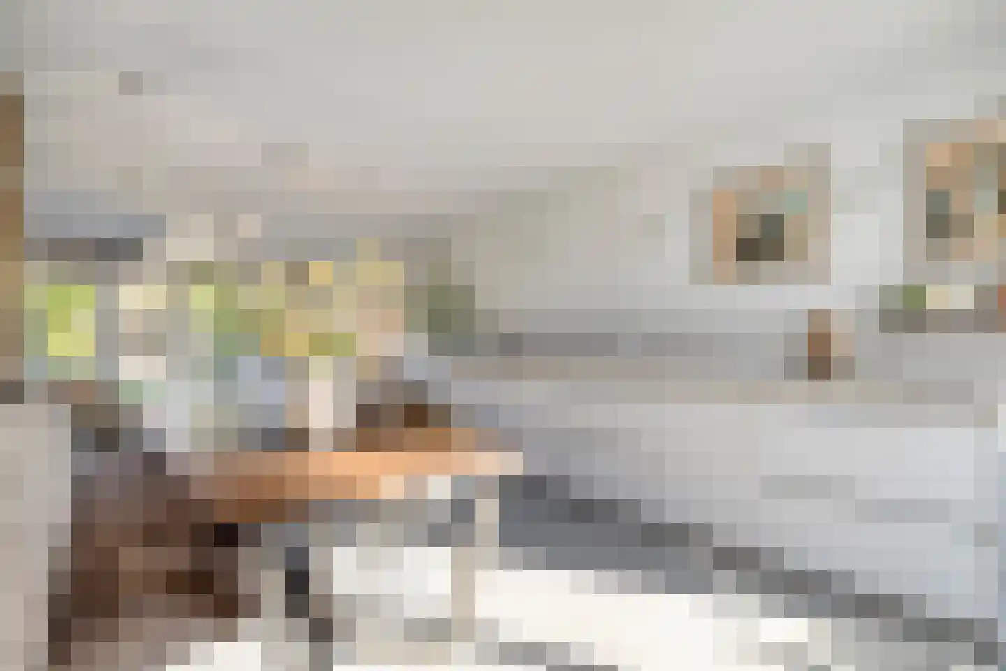 De Beide Vlooswijkenlaan 20 Linschoten thumbnail 9