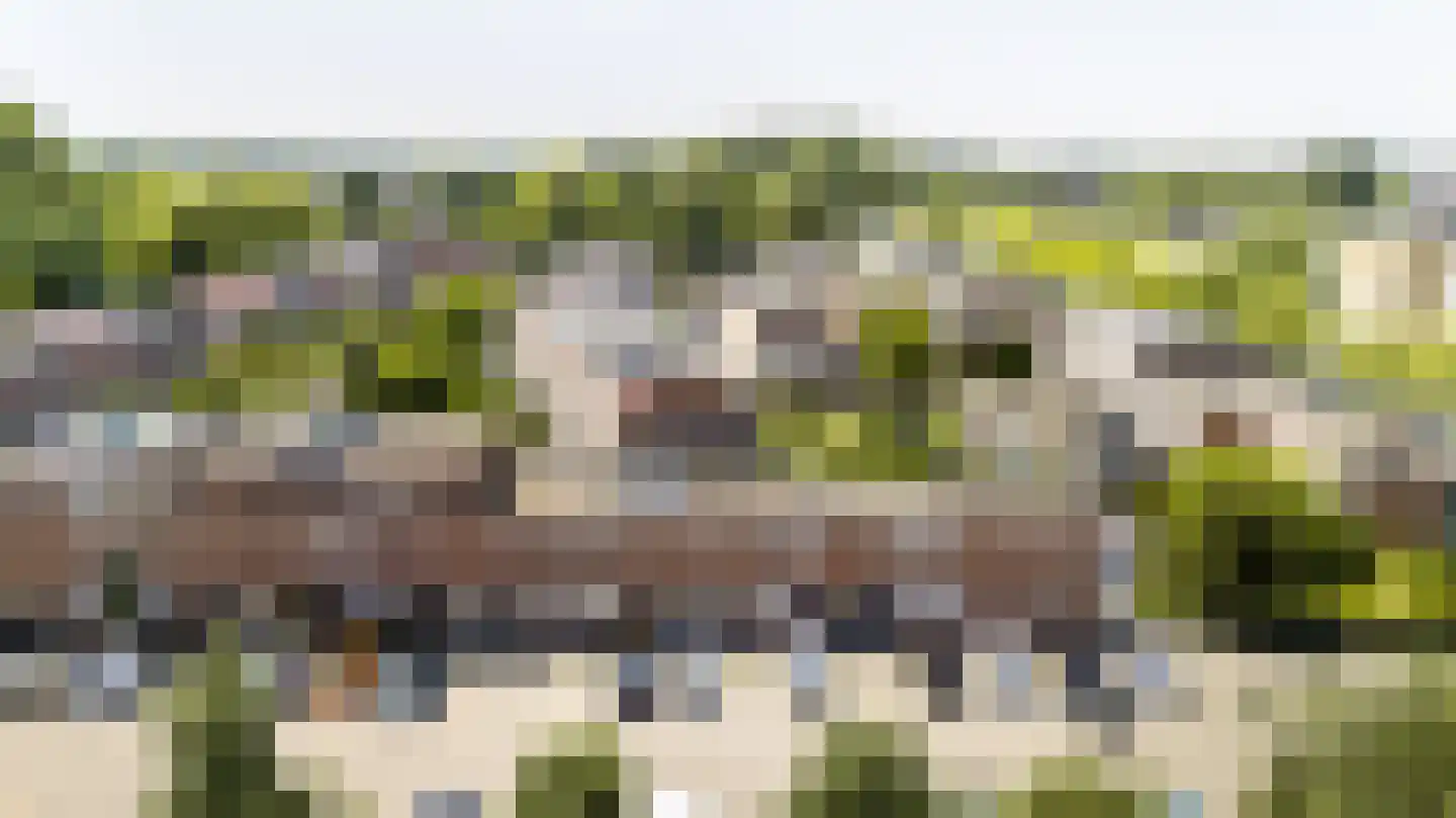 De Bekroning 8 Amersfoort thumbnail 31