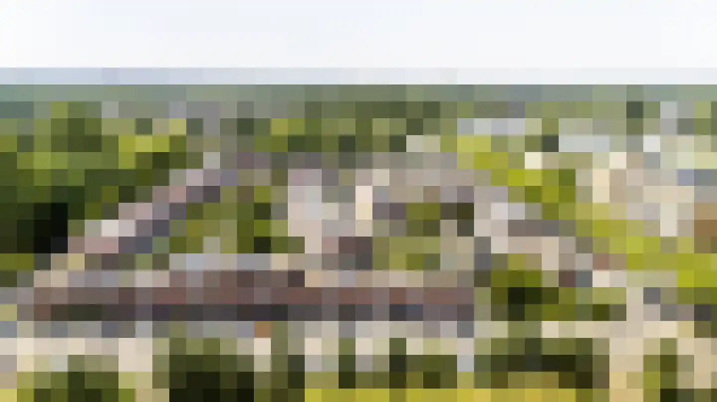 De Bekroning 8 Amersfoort thumbnail 32
