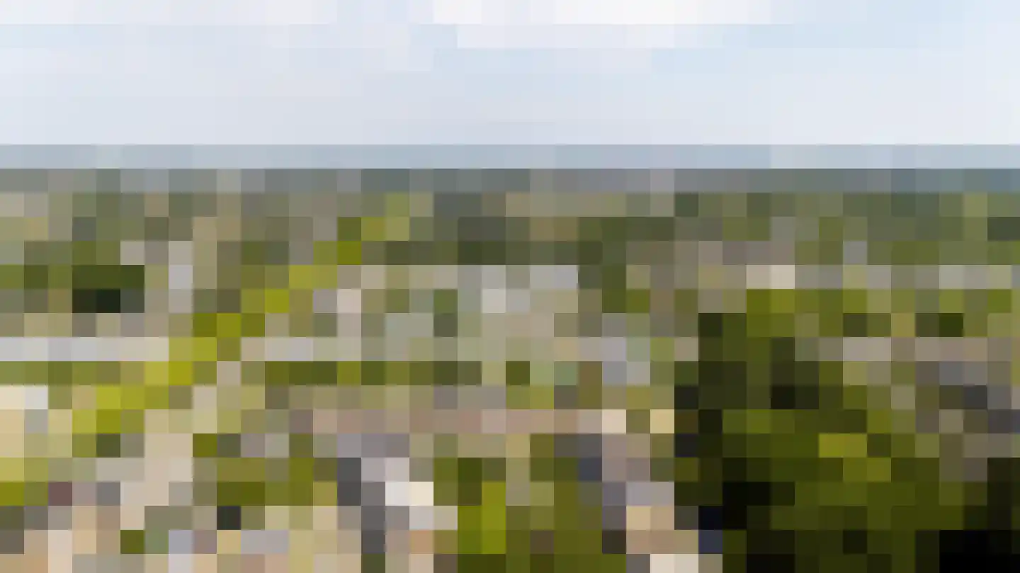 De Bekroning 8 Amersfoort thumbnail 36