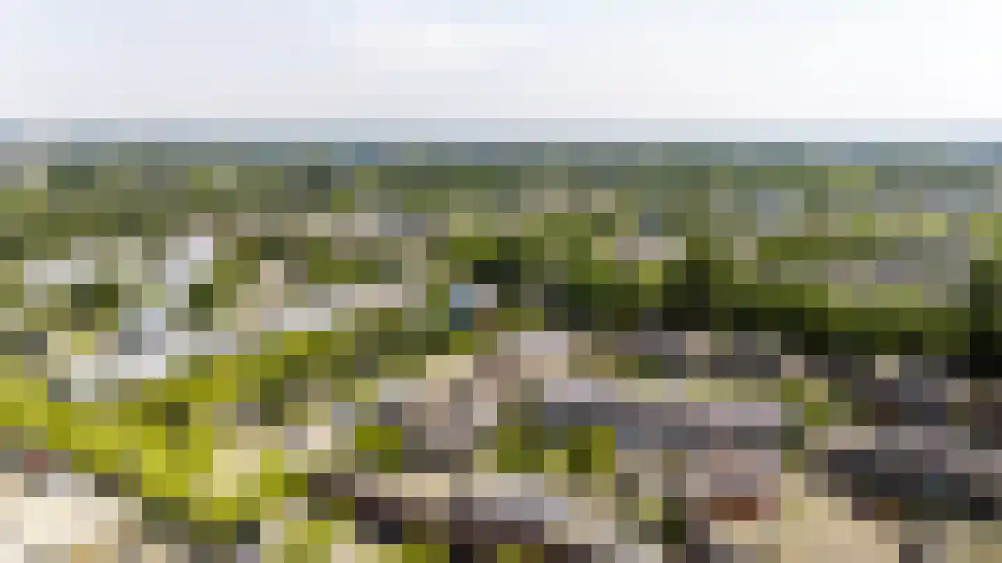 De Bekroning 8 Amersfoort thumbnail 38