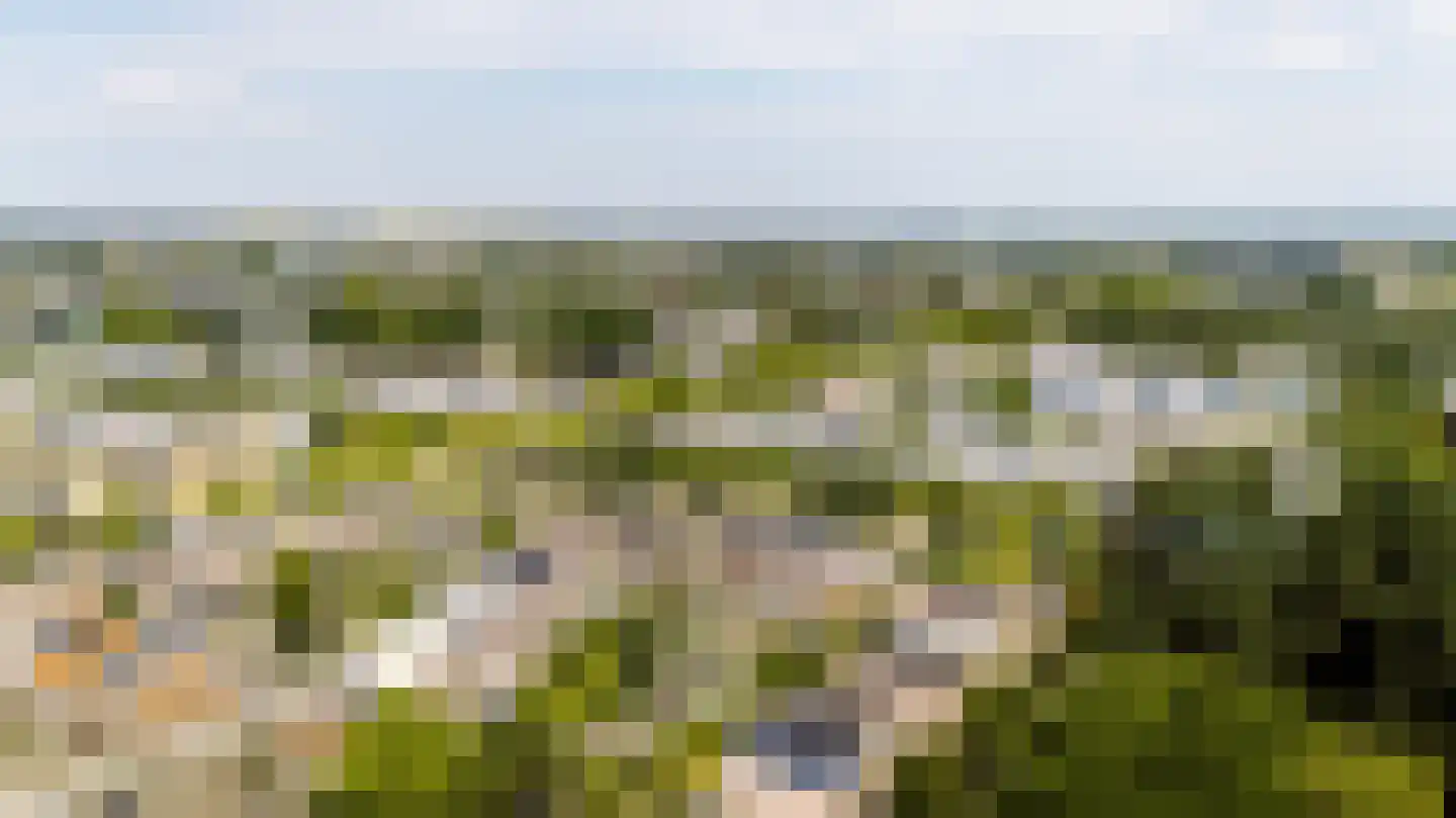 De Bekroning 8 Amersfoort thumbnail 39