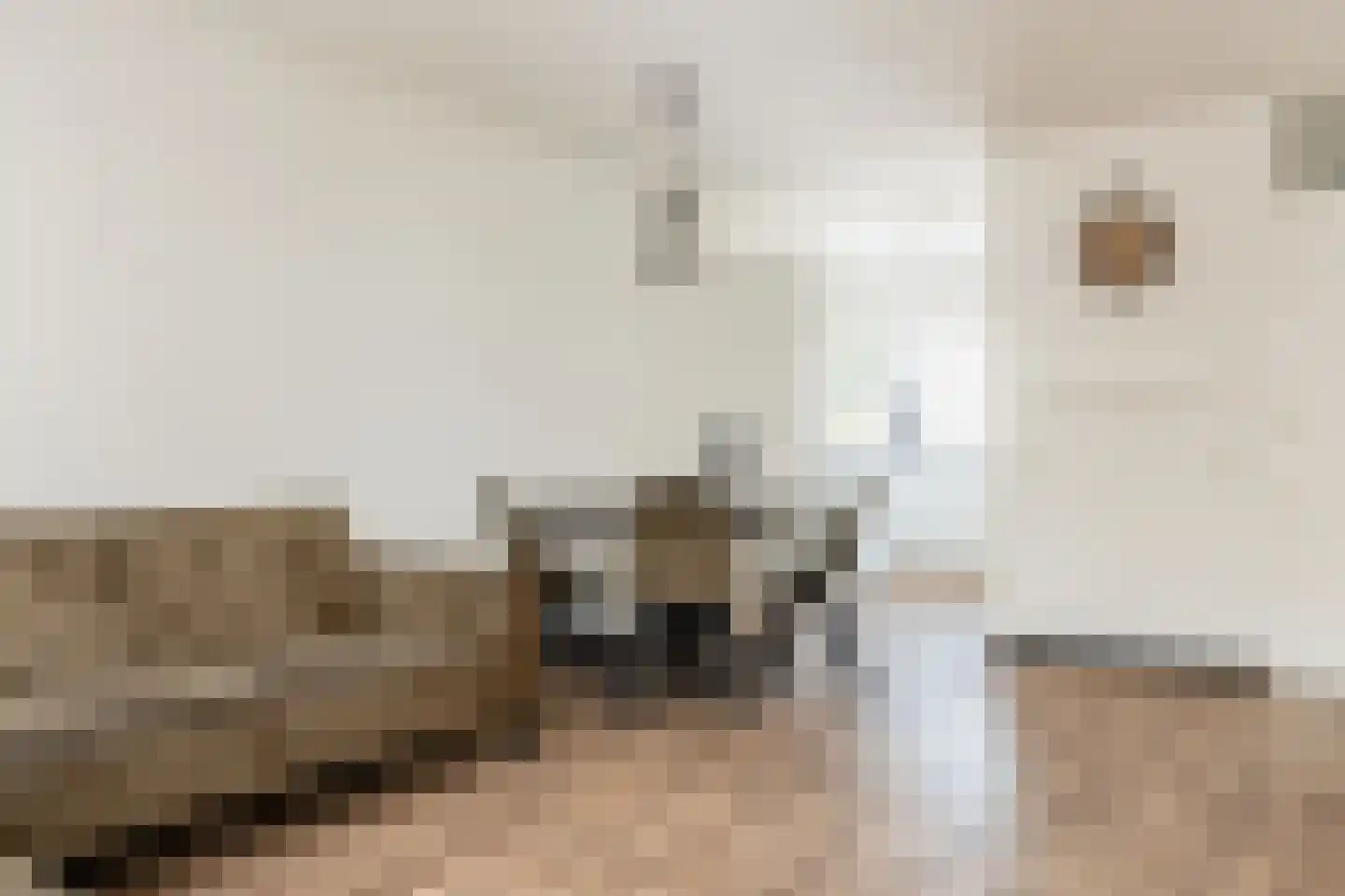 De Bekroning 8 Amersfoort thumbnail 6