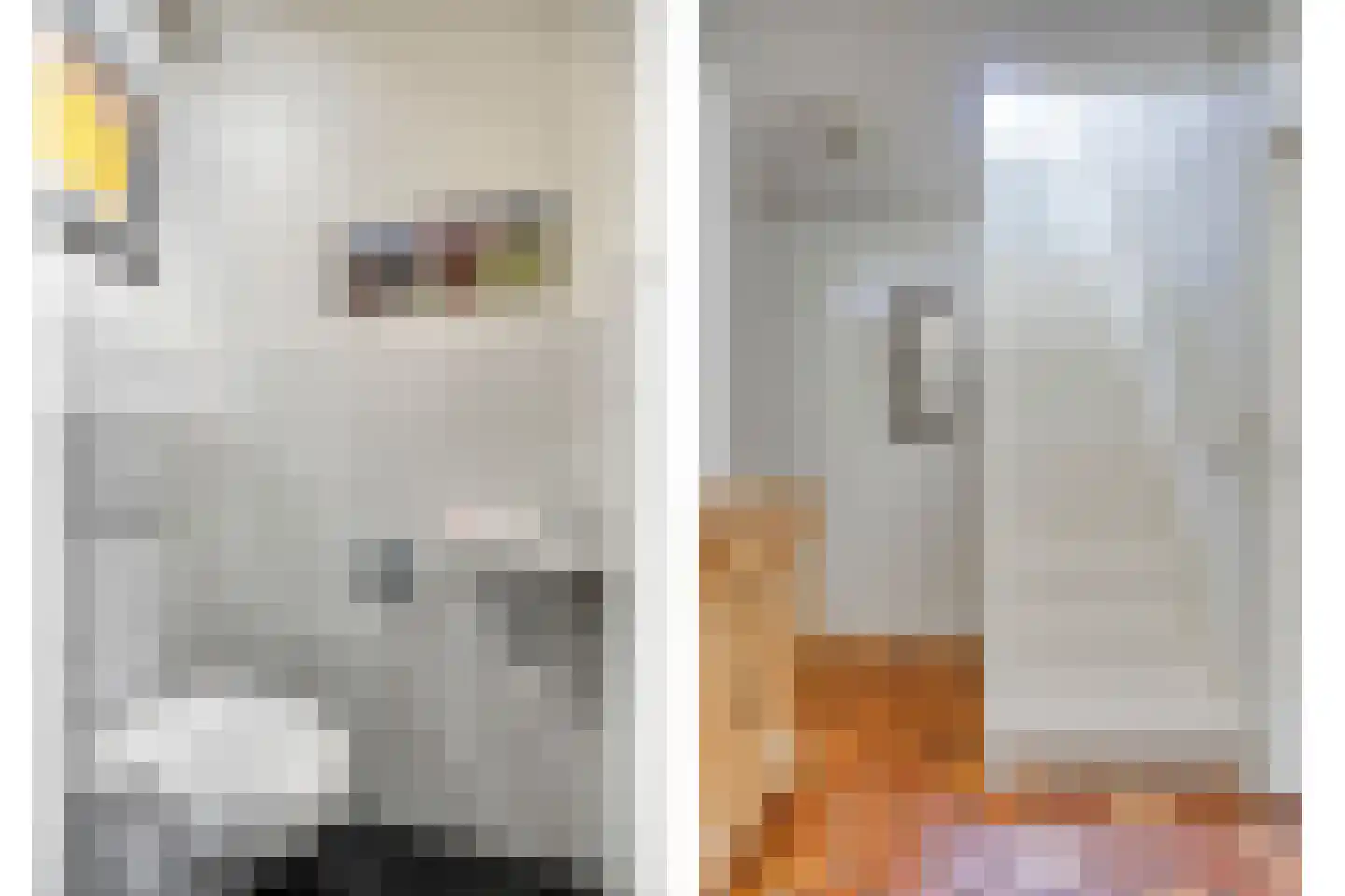 de Bellink 12 Zoutelande thumbnail 15