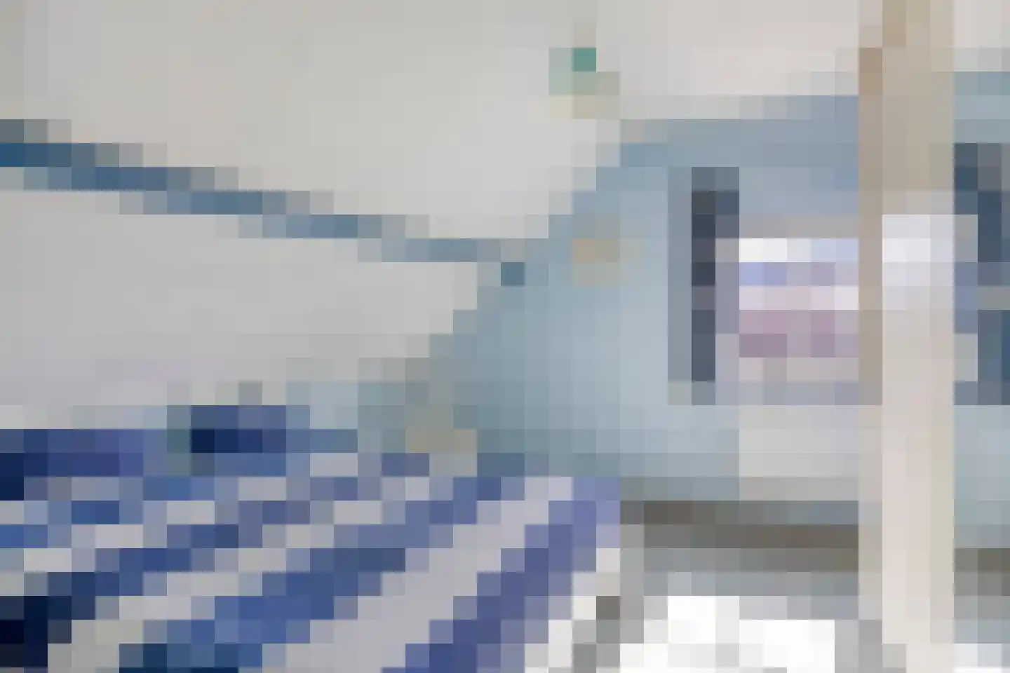 de Bellink 12 Zoutelande thumbnail 16
