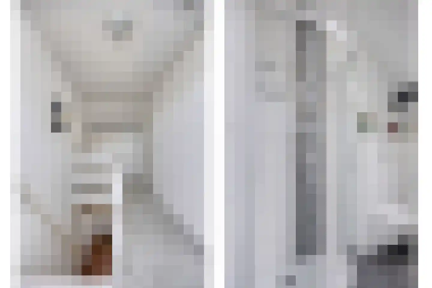 de Bellink 12 Zoutelande thumbnail 18