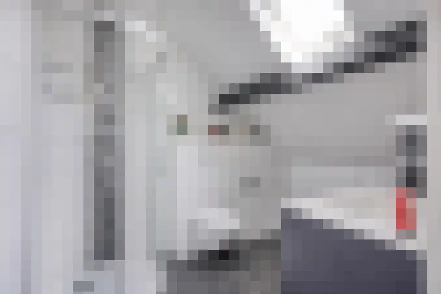 de Bellink 12 Zoutelande thumbnail 19