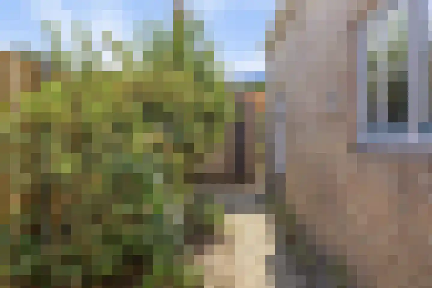 de Bellink 12 Zoutelande thumbnail 40