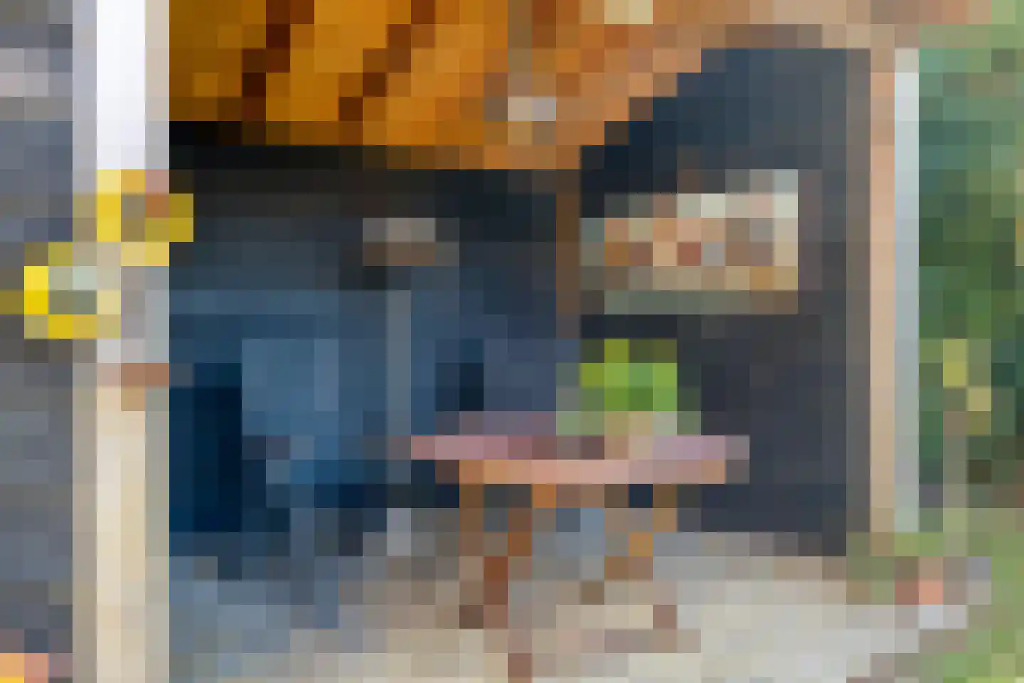 de Bellink 12 Zoutelande thumbnail 6