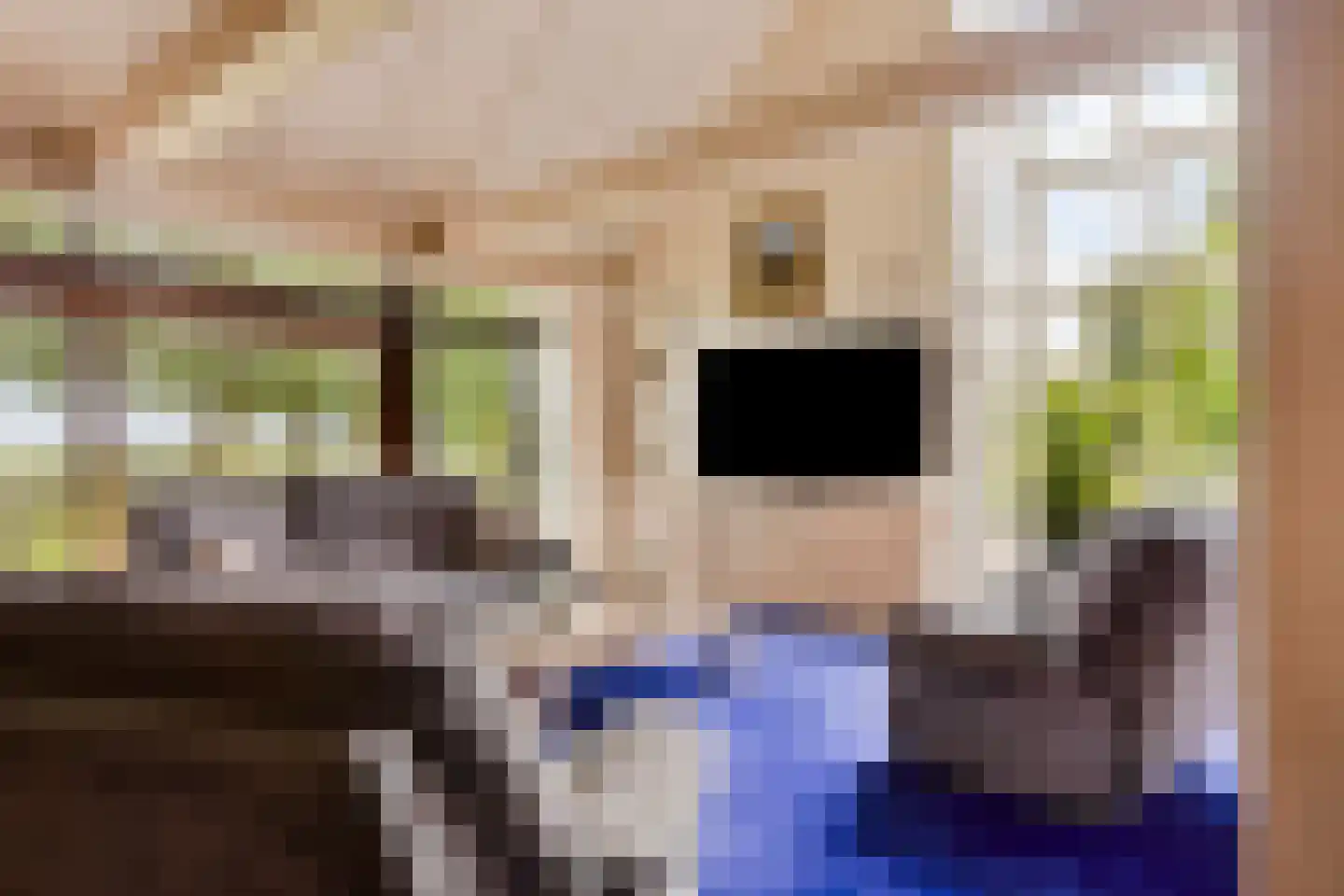 de Belt 4 Wapenveld thumbnail 13