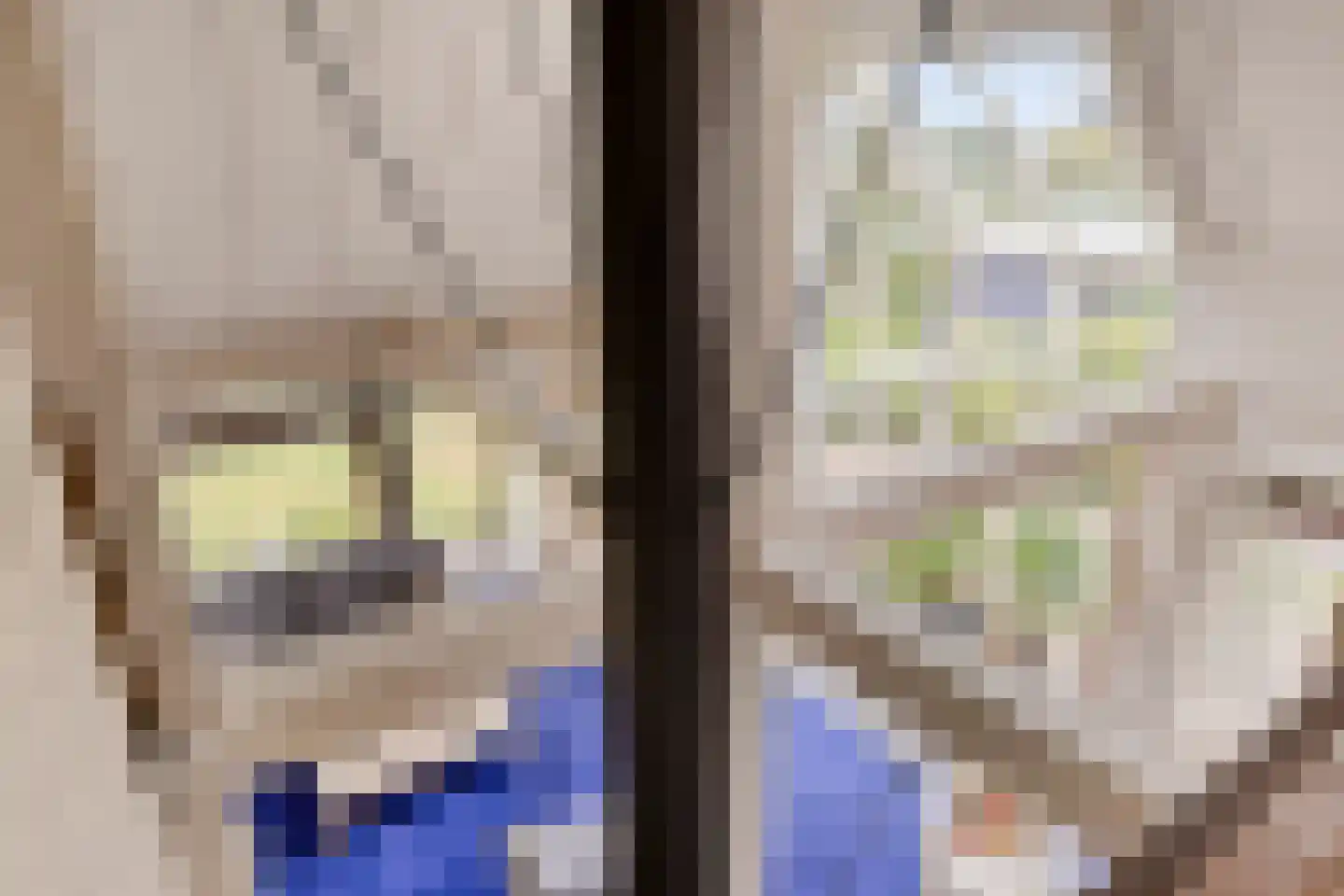 de Belt 4 Wapenveld thumbnail 31