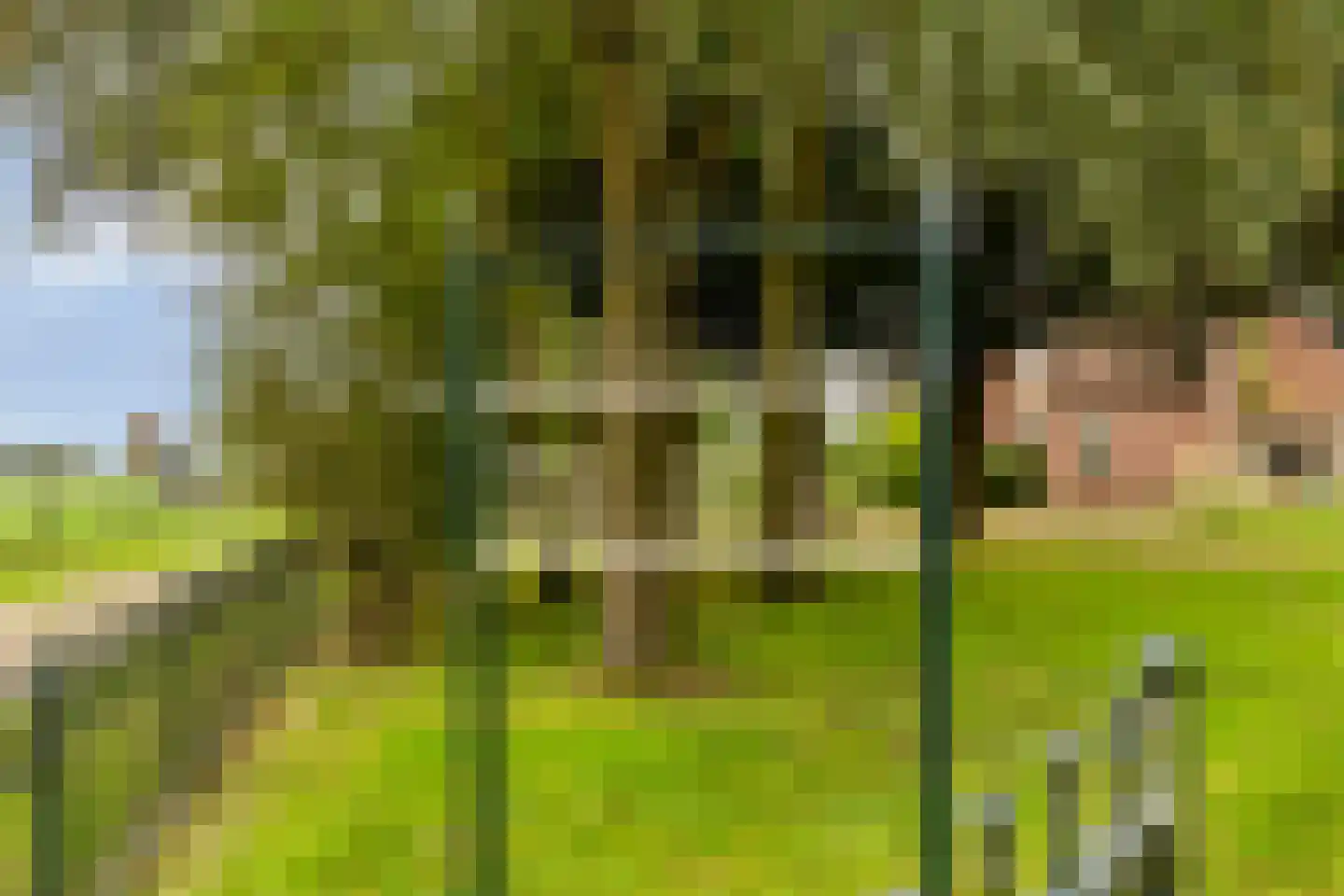 de Belt 4 Wapenveld thumbnail 4