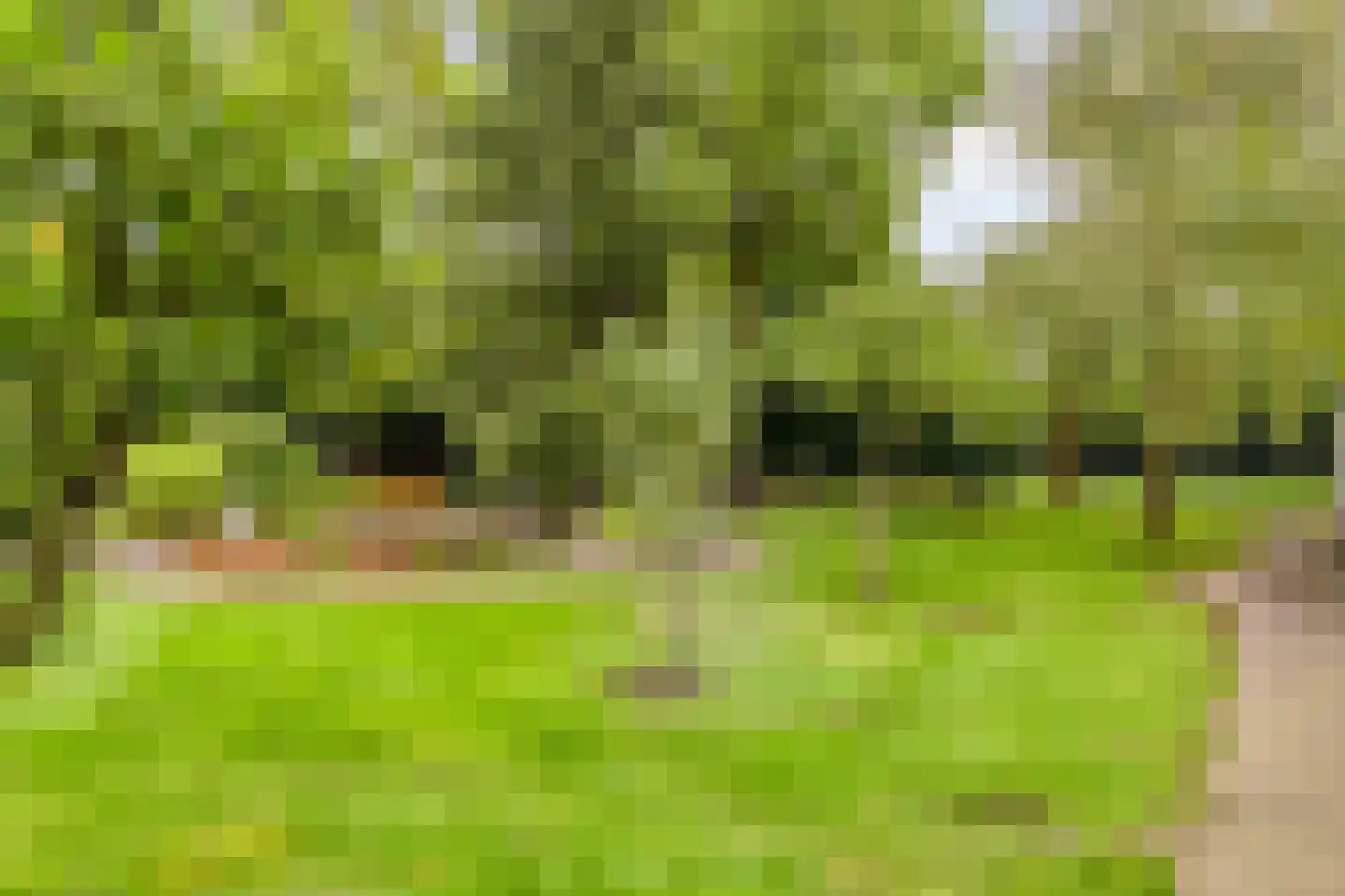 de Belt 4 Wapenveld thumbnail 41