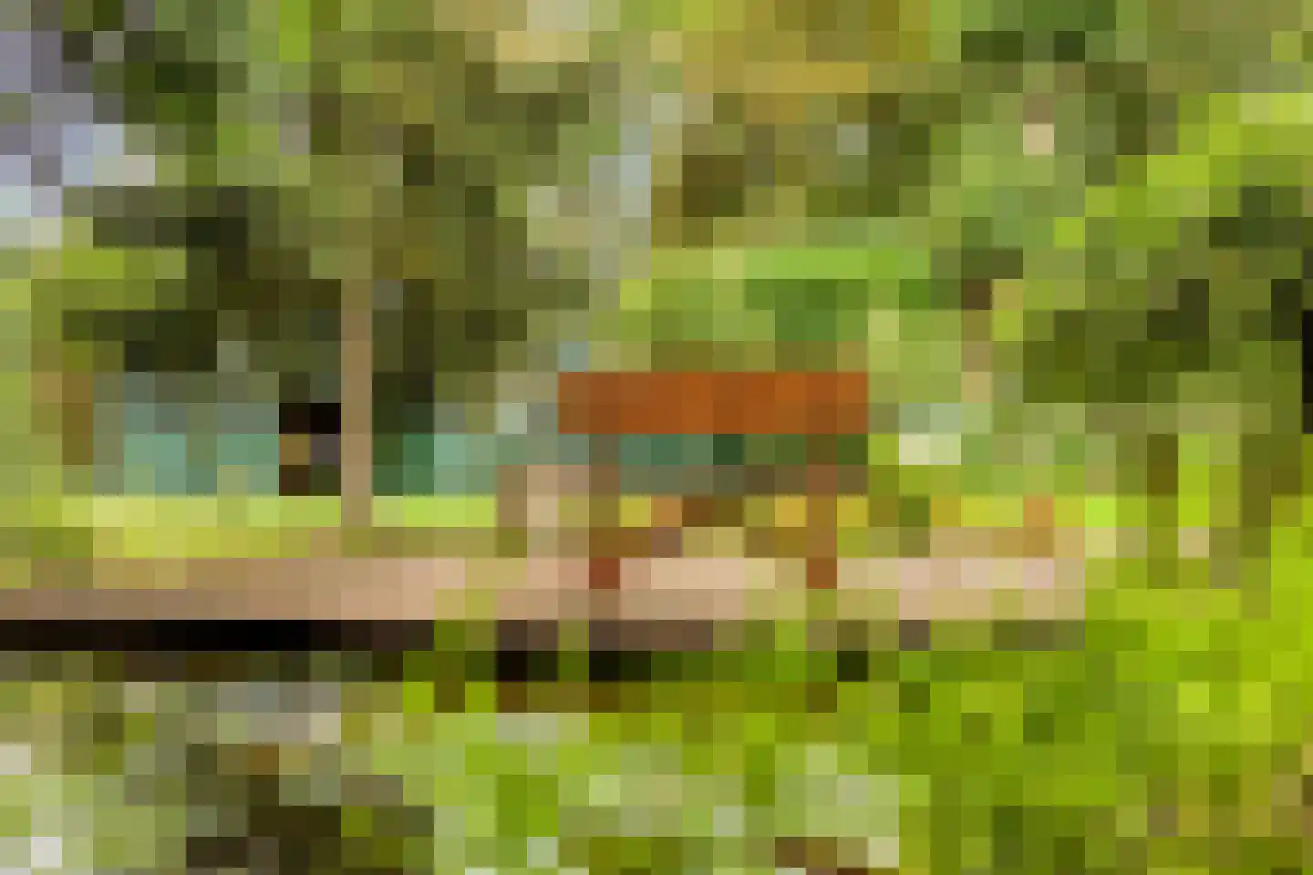 de Belt 4 Wapenveld thumbnail 42