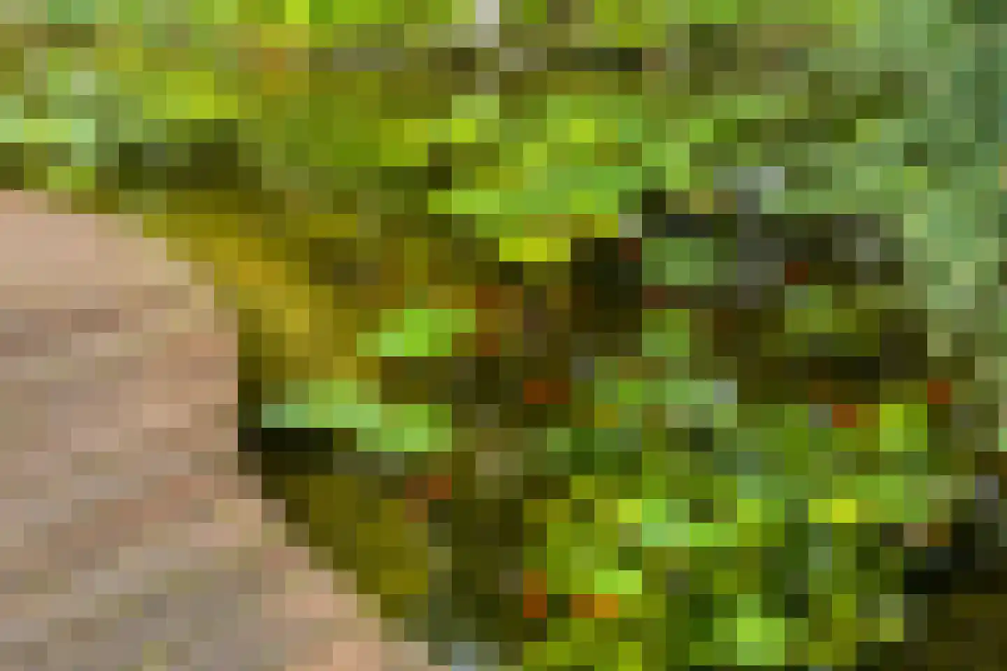 de Belt 4 Wapenveld thumbnail 43