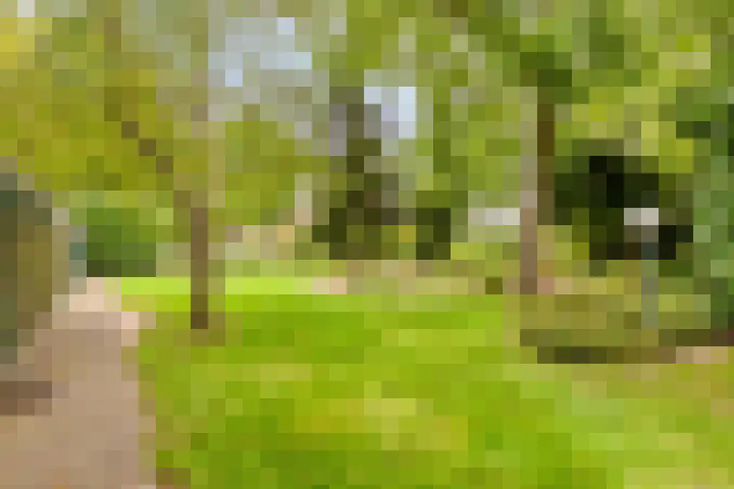 de Belt 4 Wapenveld thumbnail 44