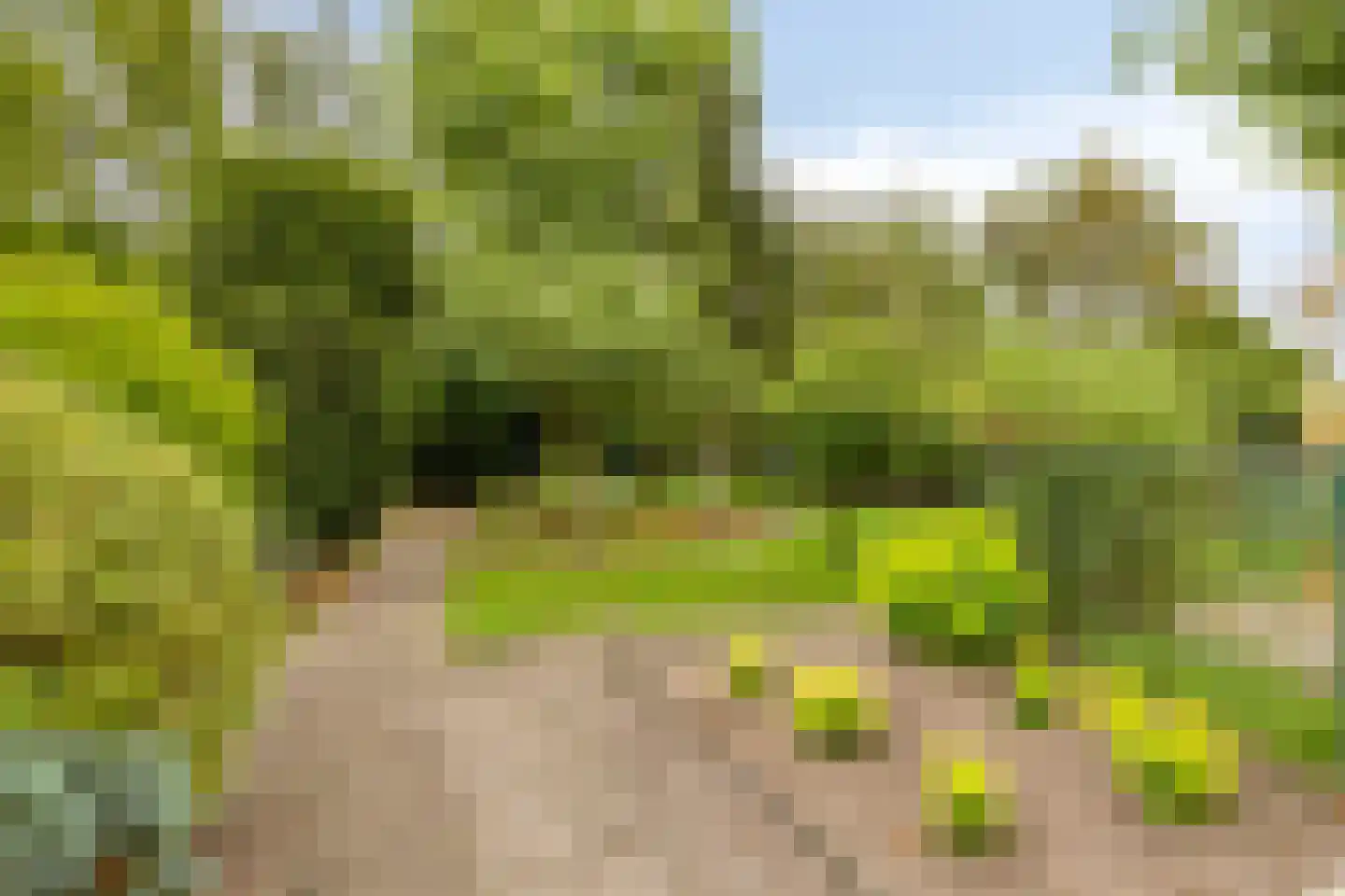 de Belt 4 Wapenveld thumbnail 45