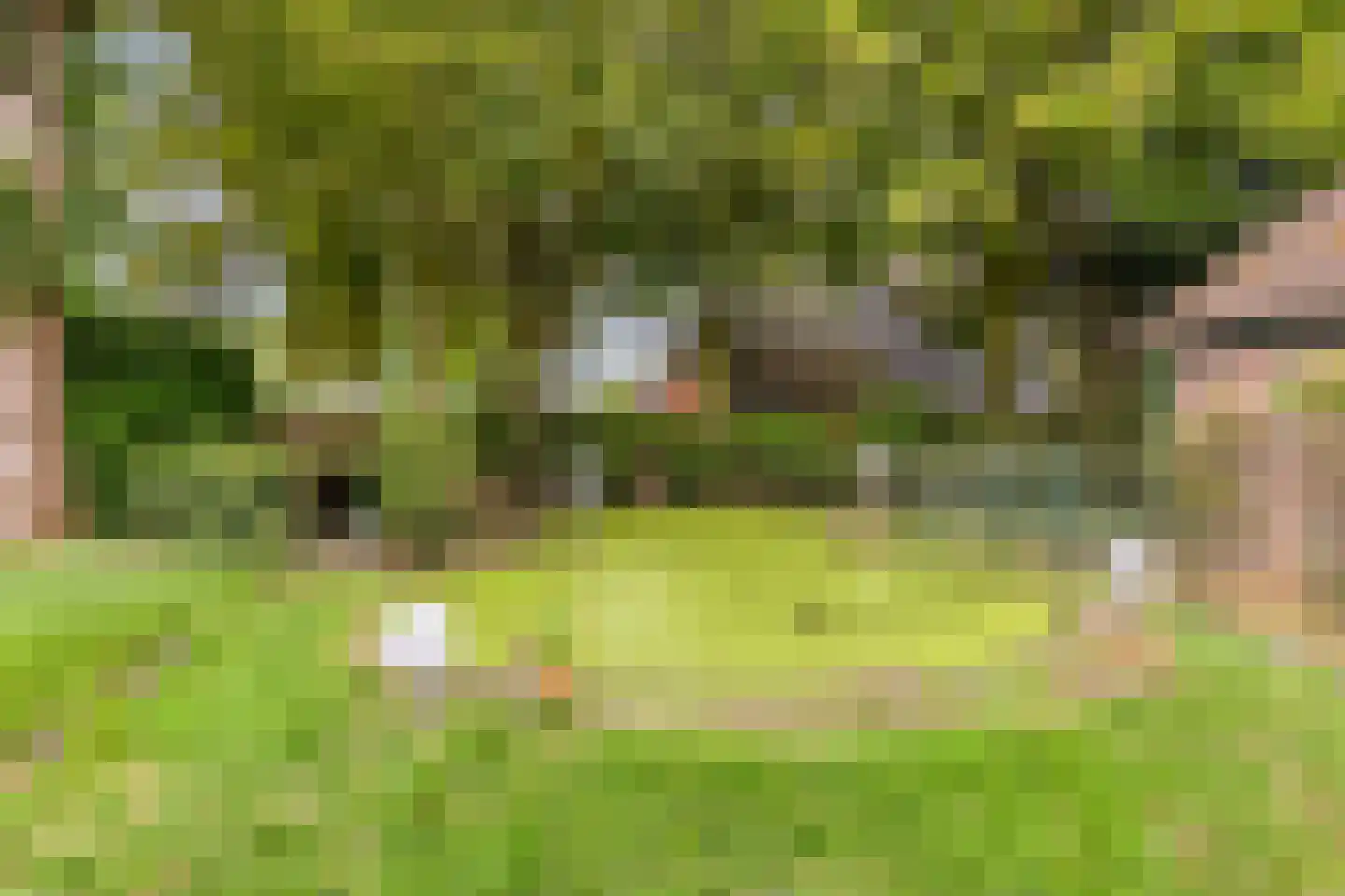 de Belt 4 Wapenveld thumbnail 46