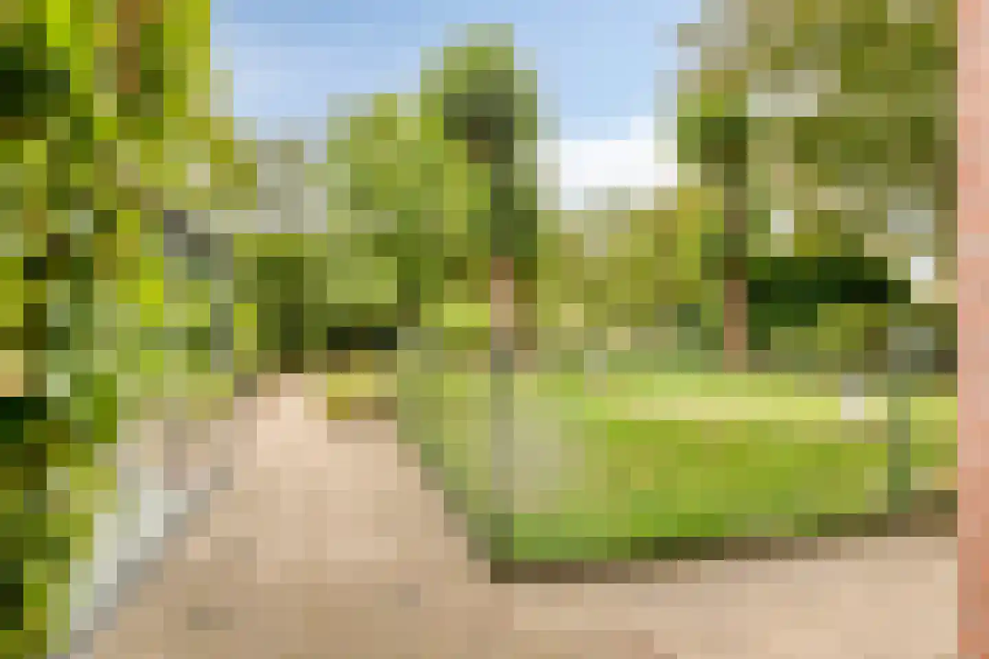 de Belt 4 Wapenveld thumbnail 47