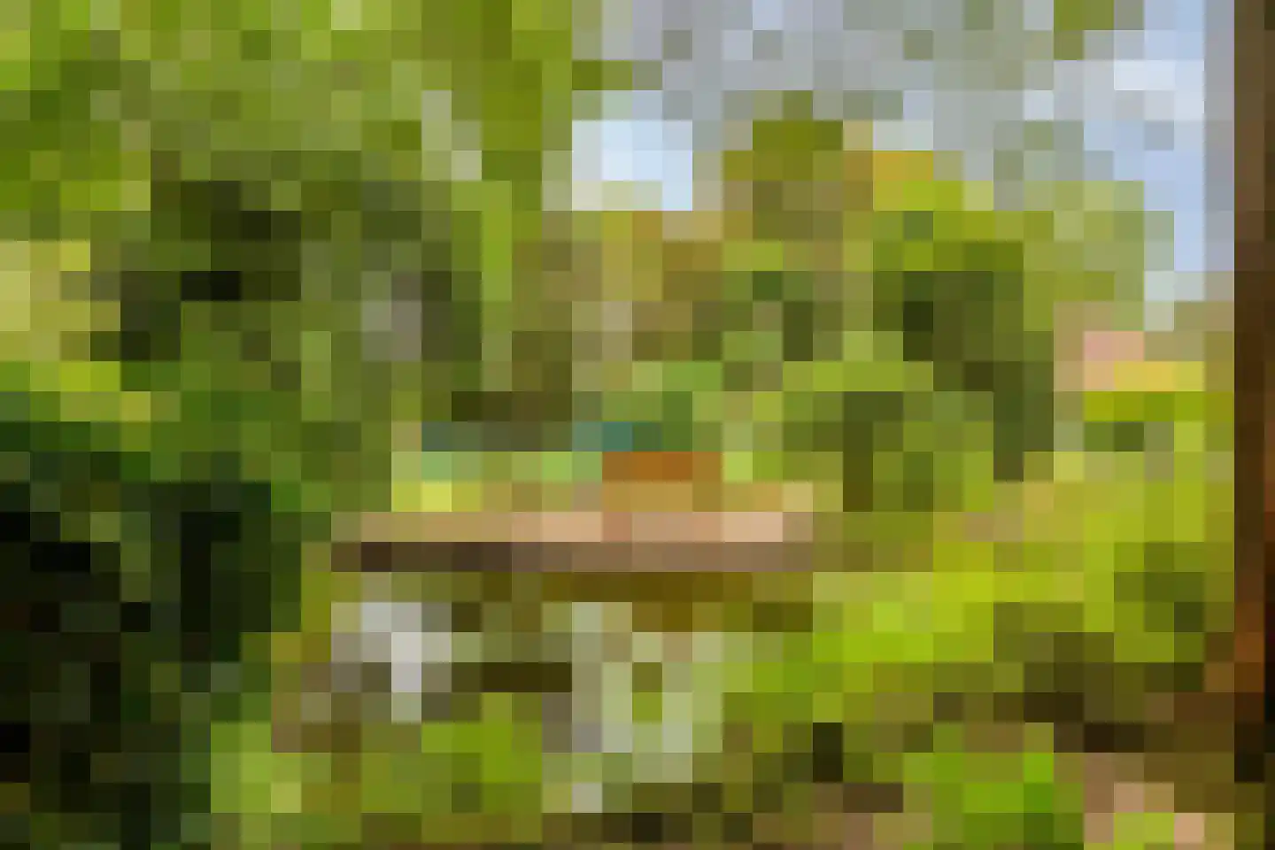 de Belt 4 Wapenveld thumbnail 5