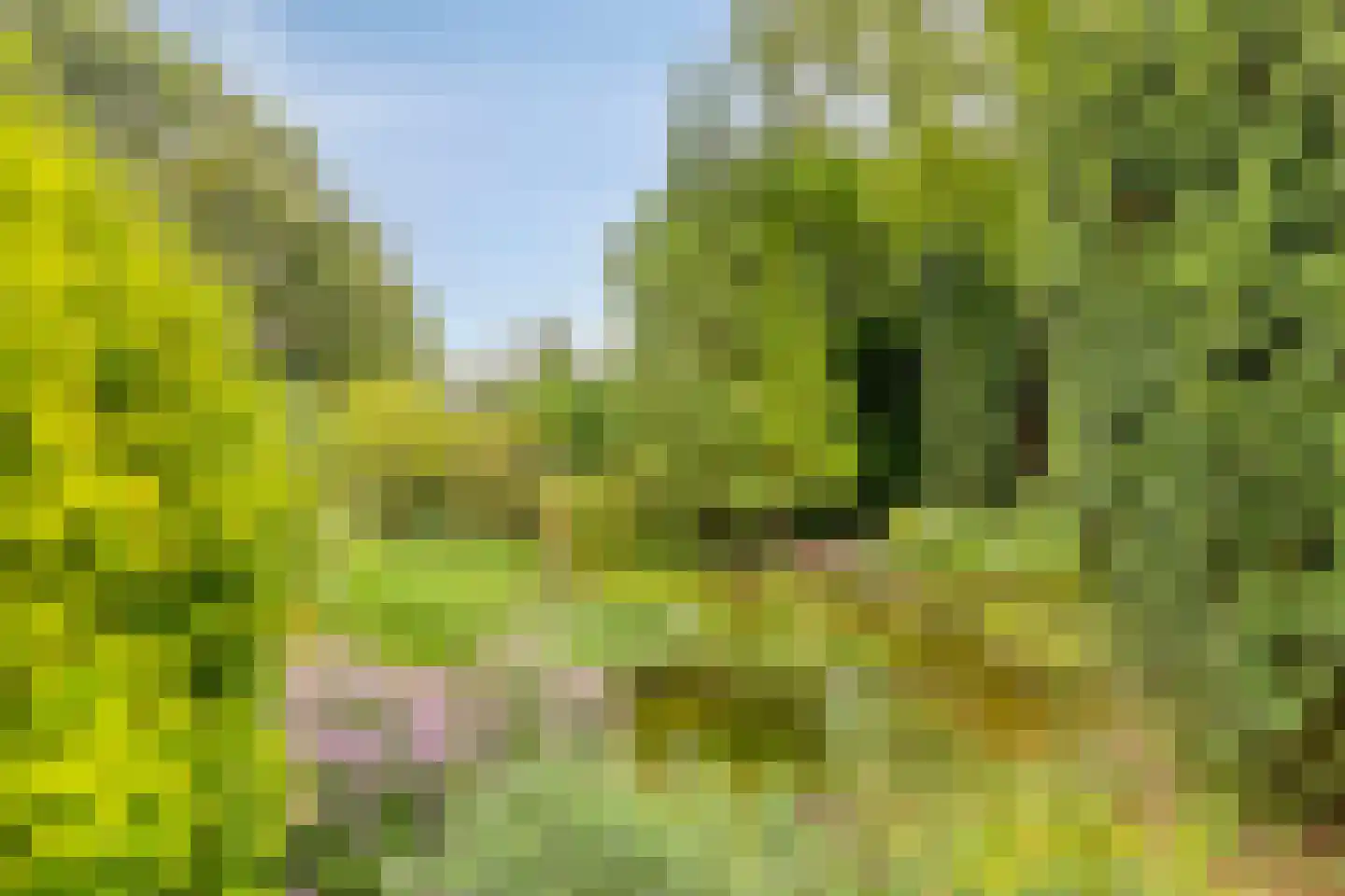 de Belt 4 Wapenveld thumbnail 50