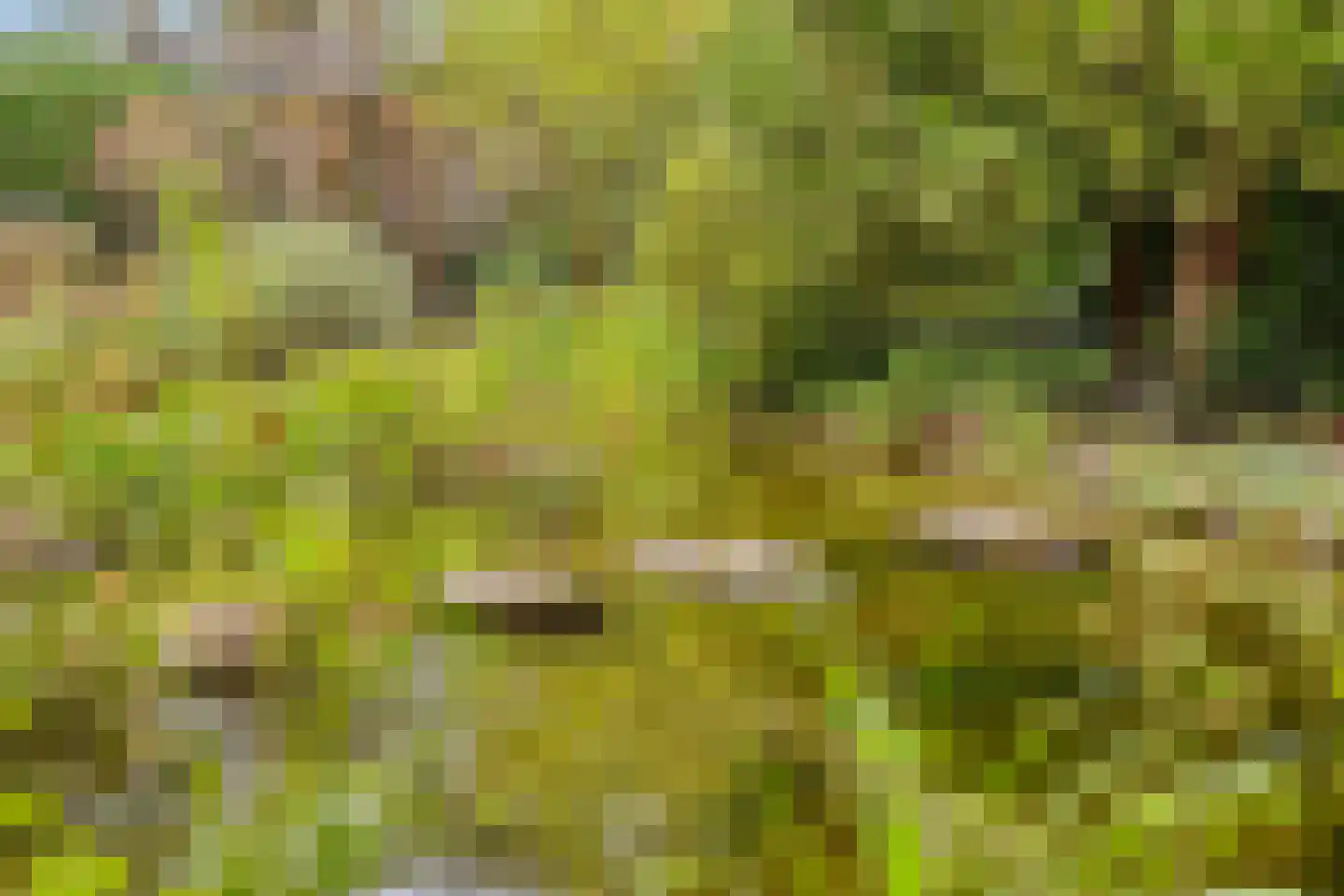 de Belt 4 Wapenveld thumbnail 51