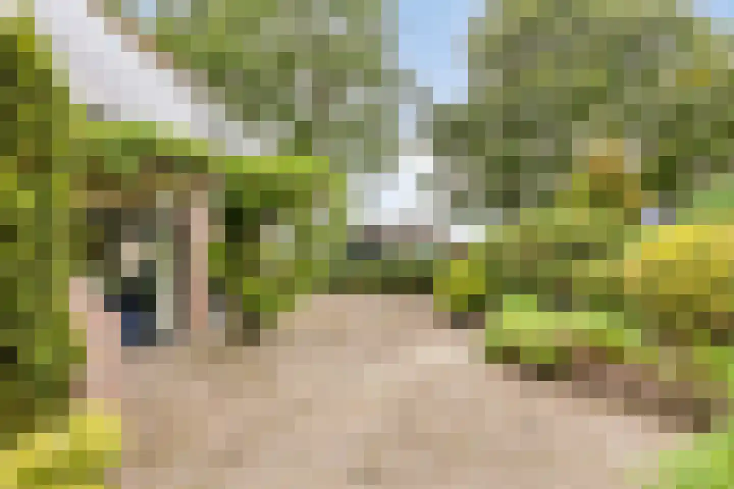 de Belt 4 Wapenveld thumbnail 52