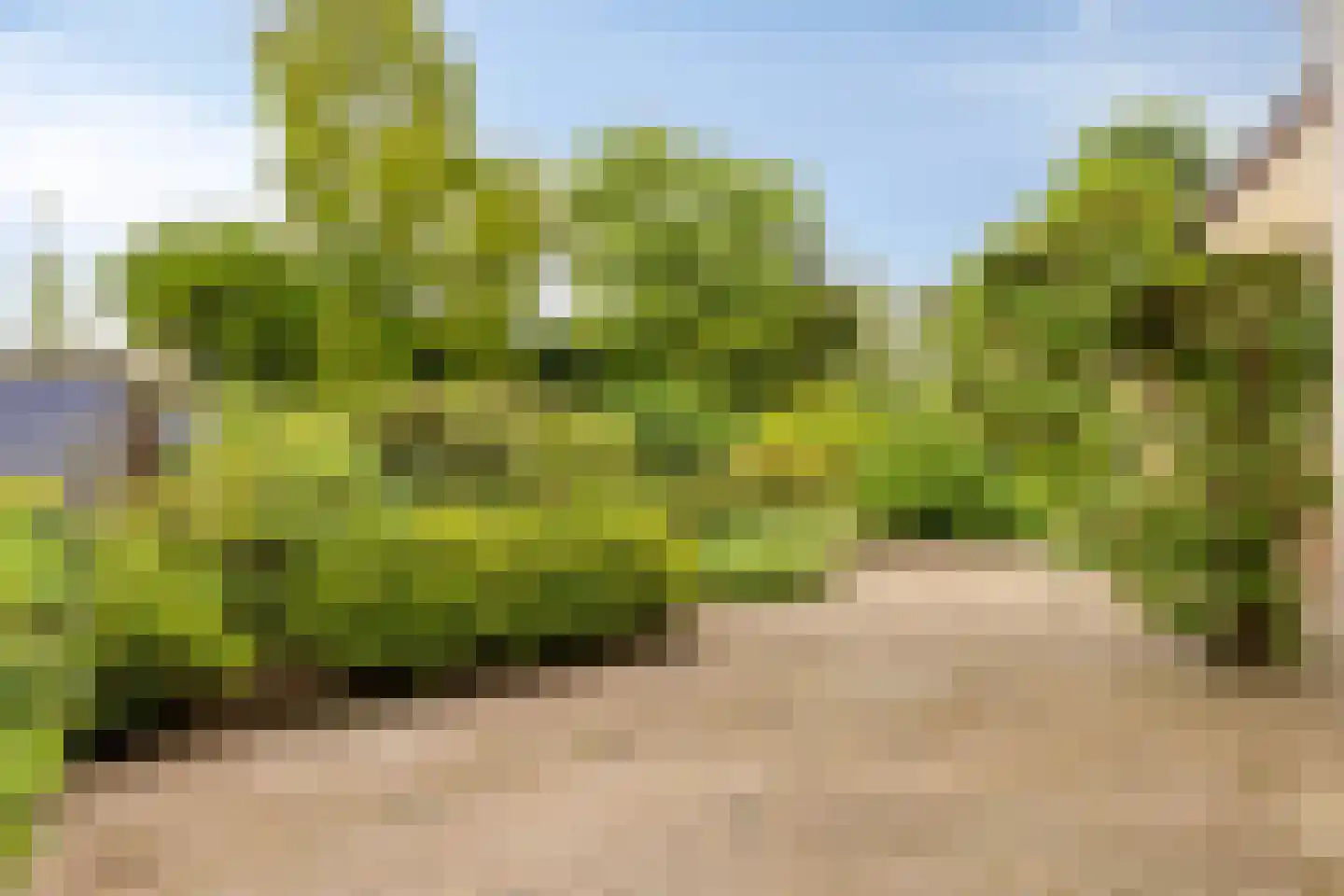 de Belt 4 Wapenveld thumbnail 53