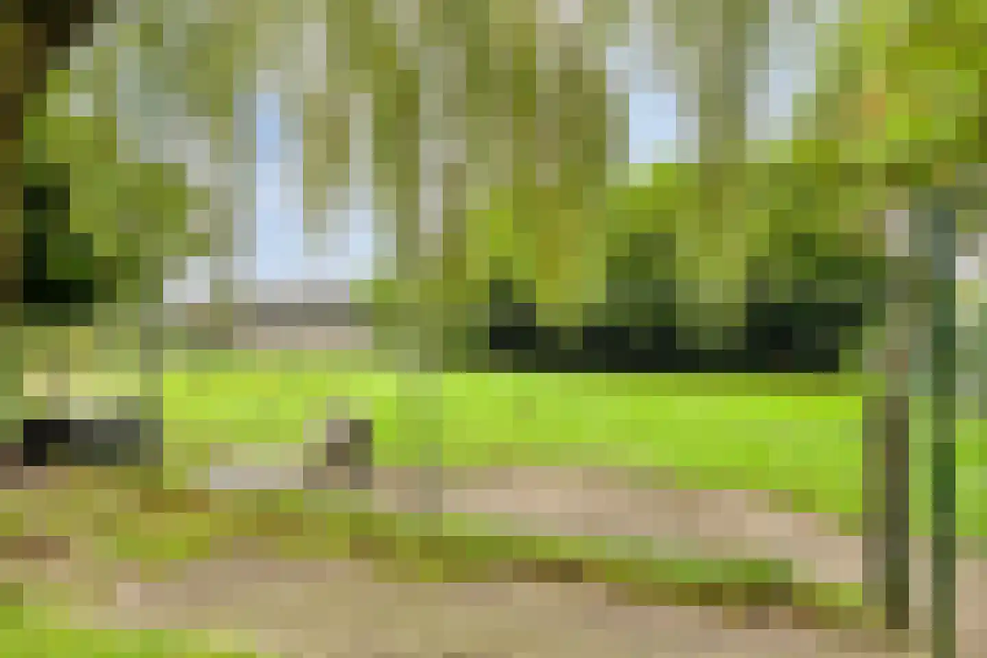 de Belt 4 Wapenveld thumbnail 54