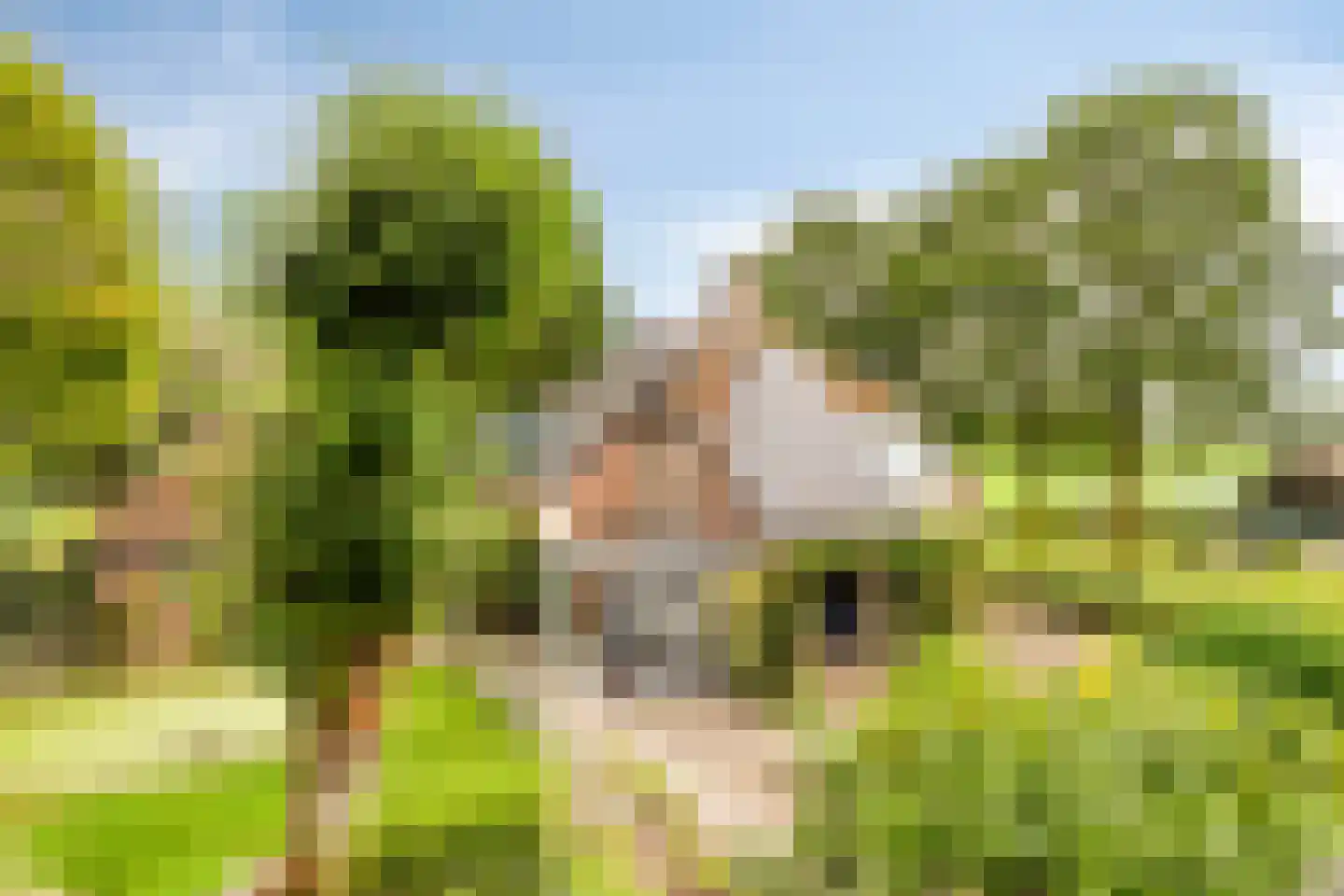 de Belt 4 Wapenveld thumbnail 56