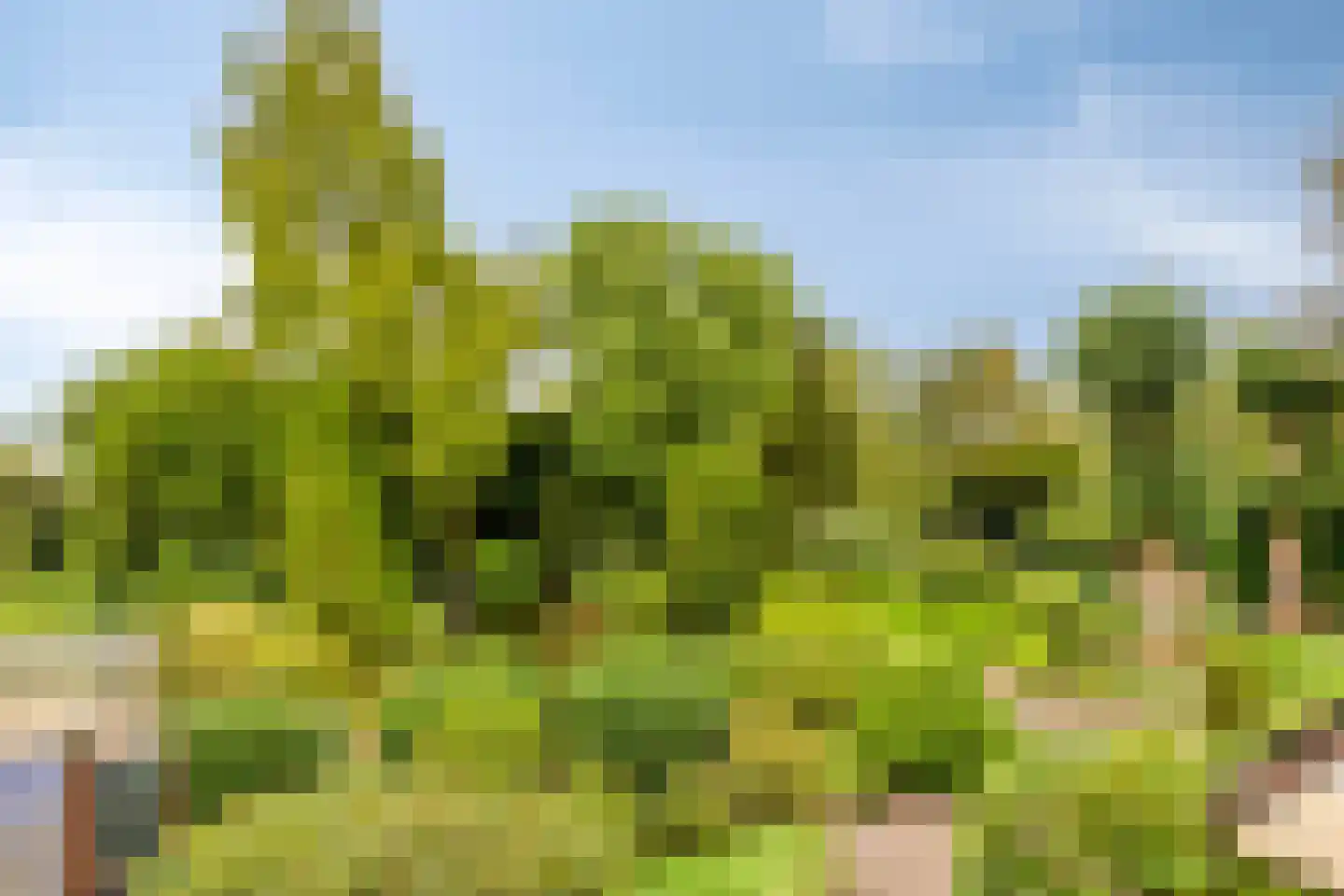 de Belt 4 Wapenveld thumbnail 58