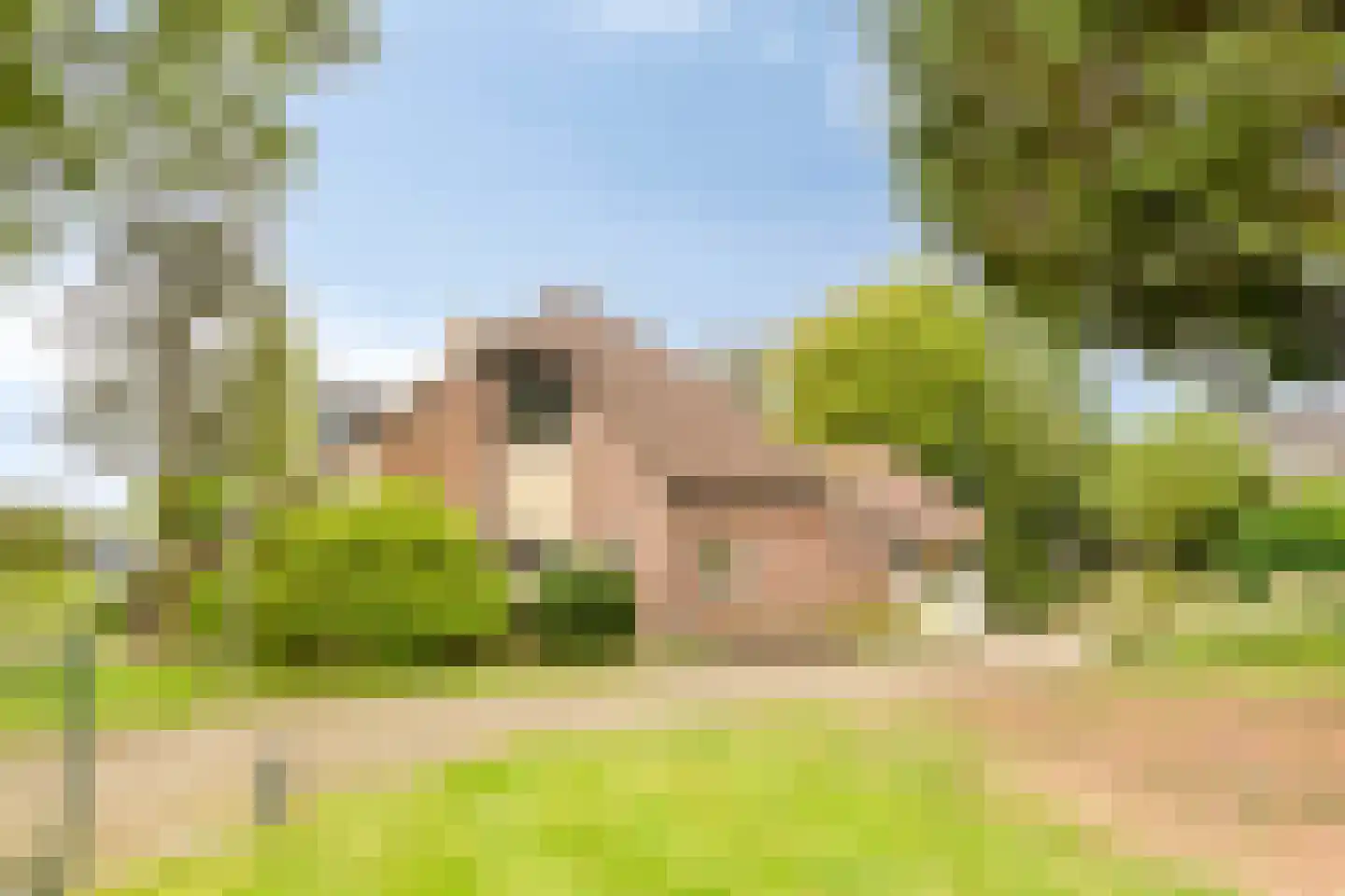 de Belt 4 Wapenveld thumbnail 59