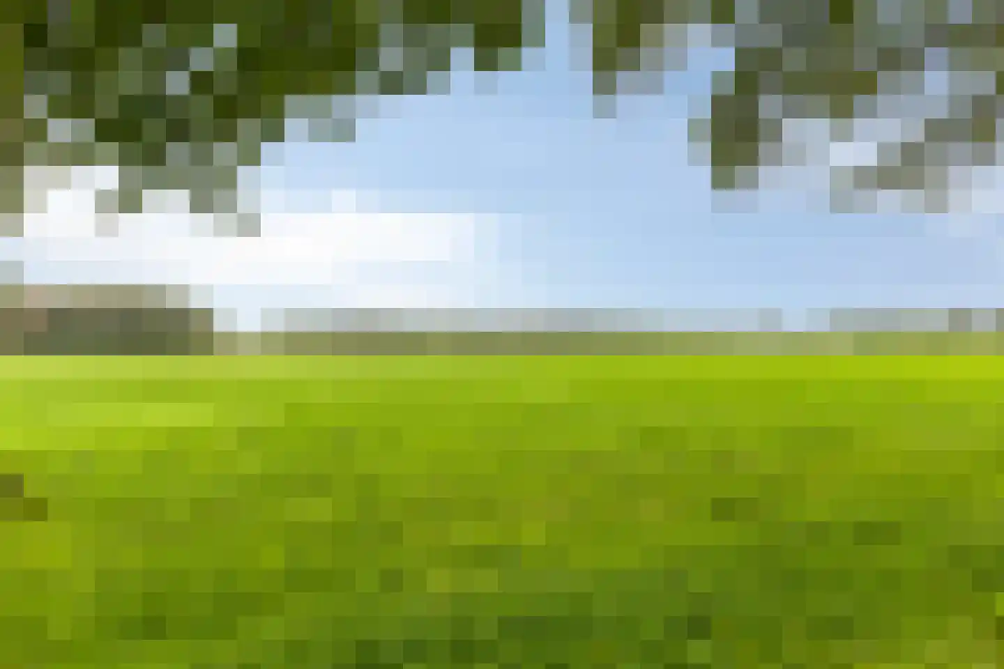 de Belt 4 Wapenveld thumbnail 6