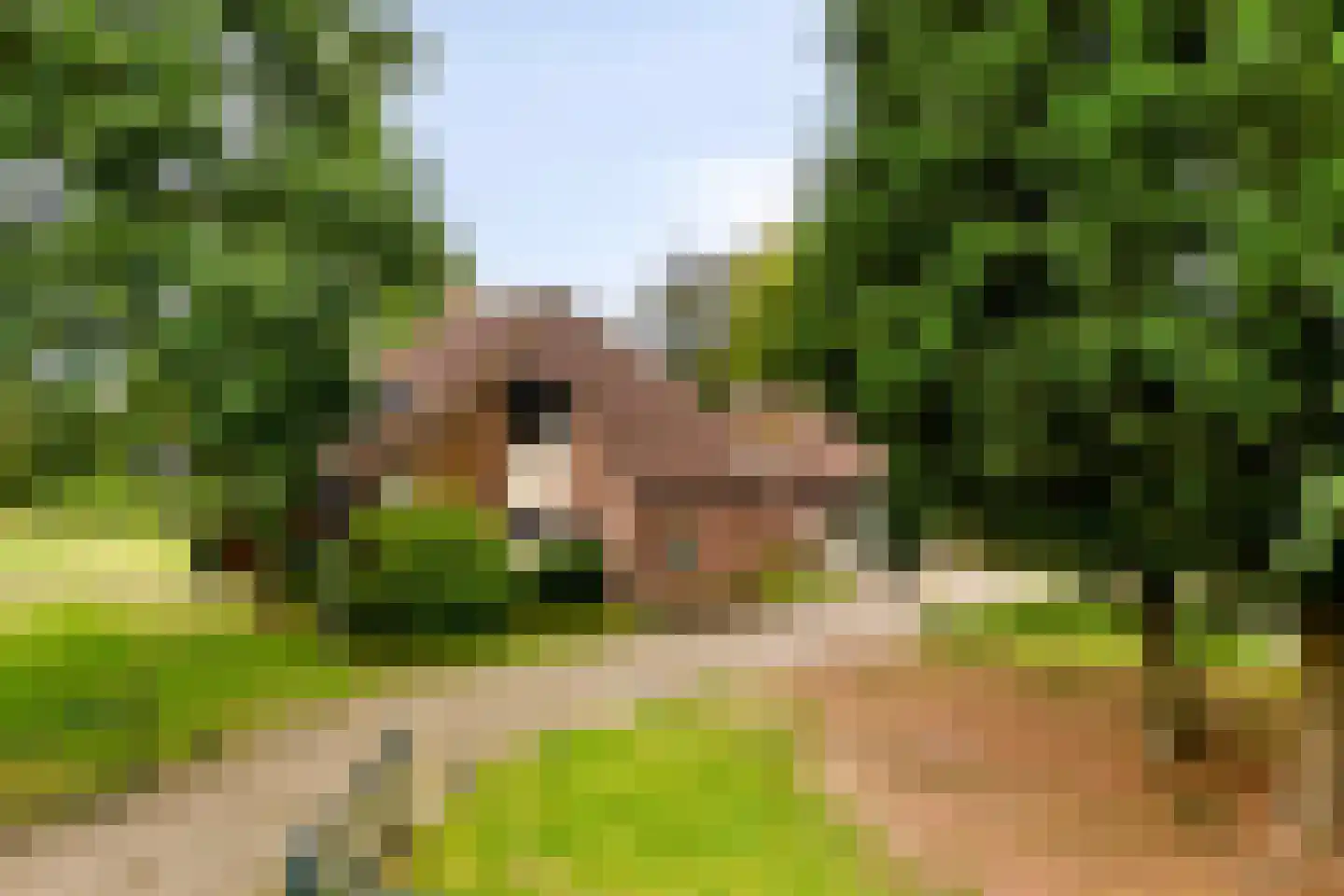 de Belt 4 Wapenveld thumbnail 60