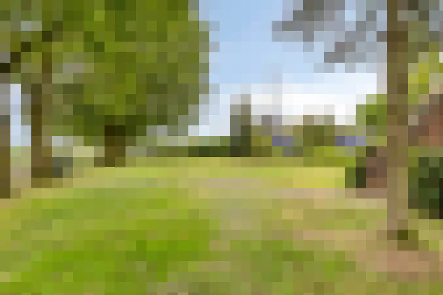 de Belt 4 Wapenveld thumbnail 62