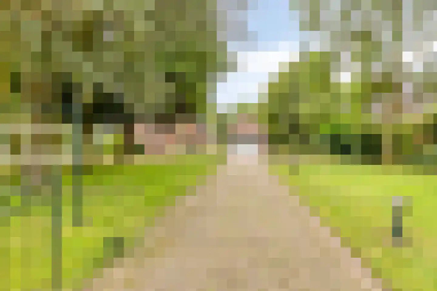 de Belt 4 Wapenveld thumbnail 64