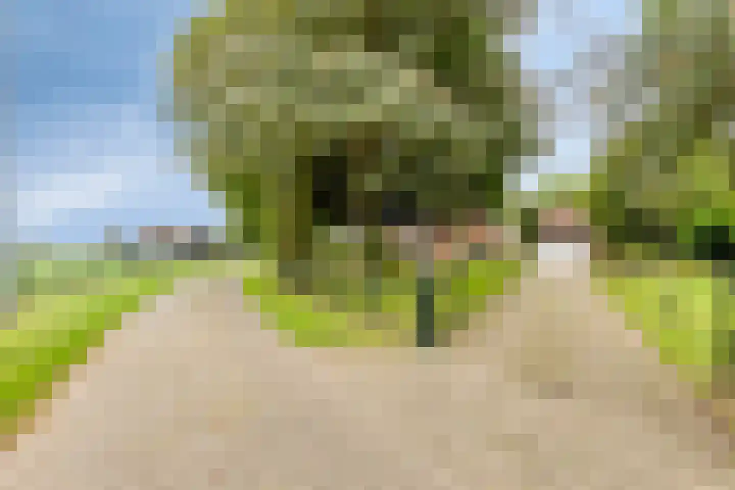 de Belt 4 Wapenveld thumbnail 65