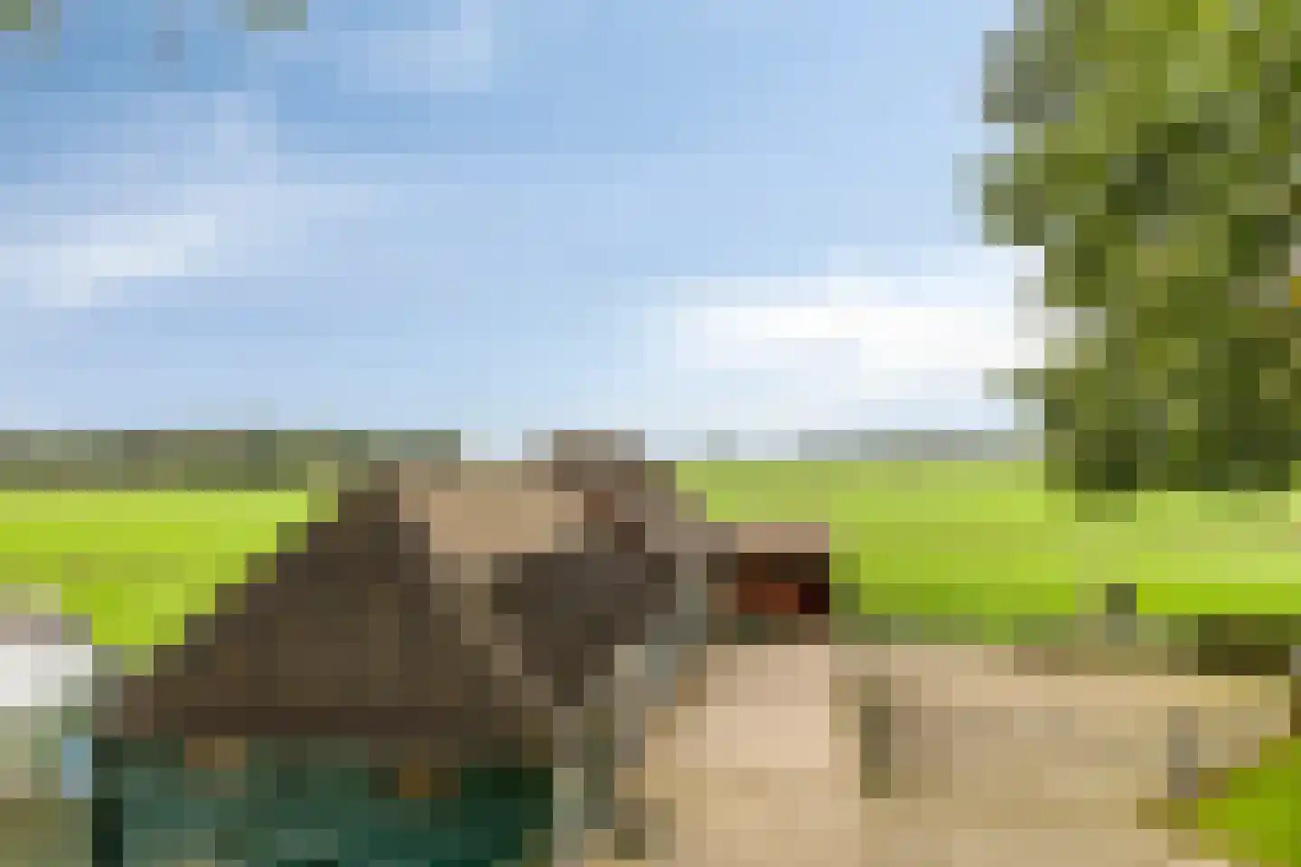 de Belt 4 Wapenveld thumbnail 67