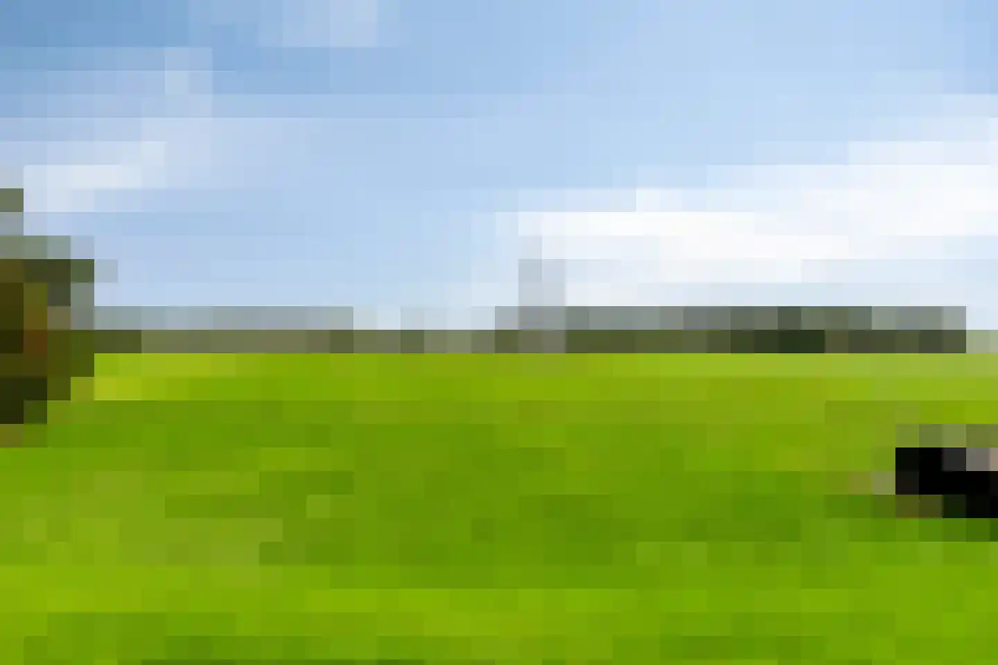 de Belt 4 Wapenveld thumbnail 68