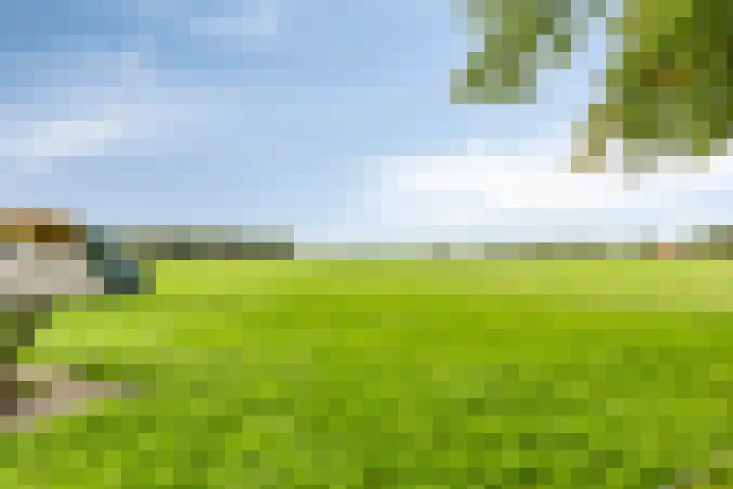 de Belt 4 Wapenveld thumbnail 69
