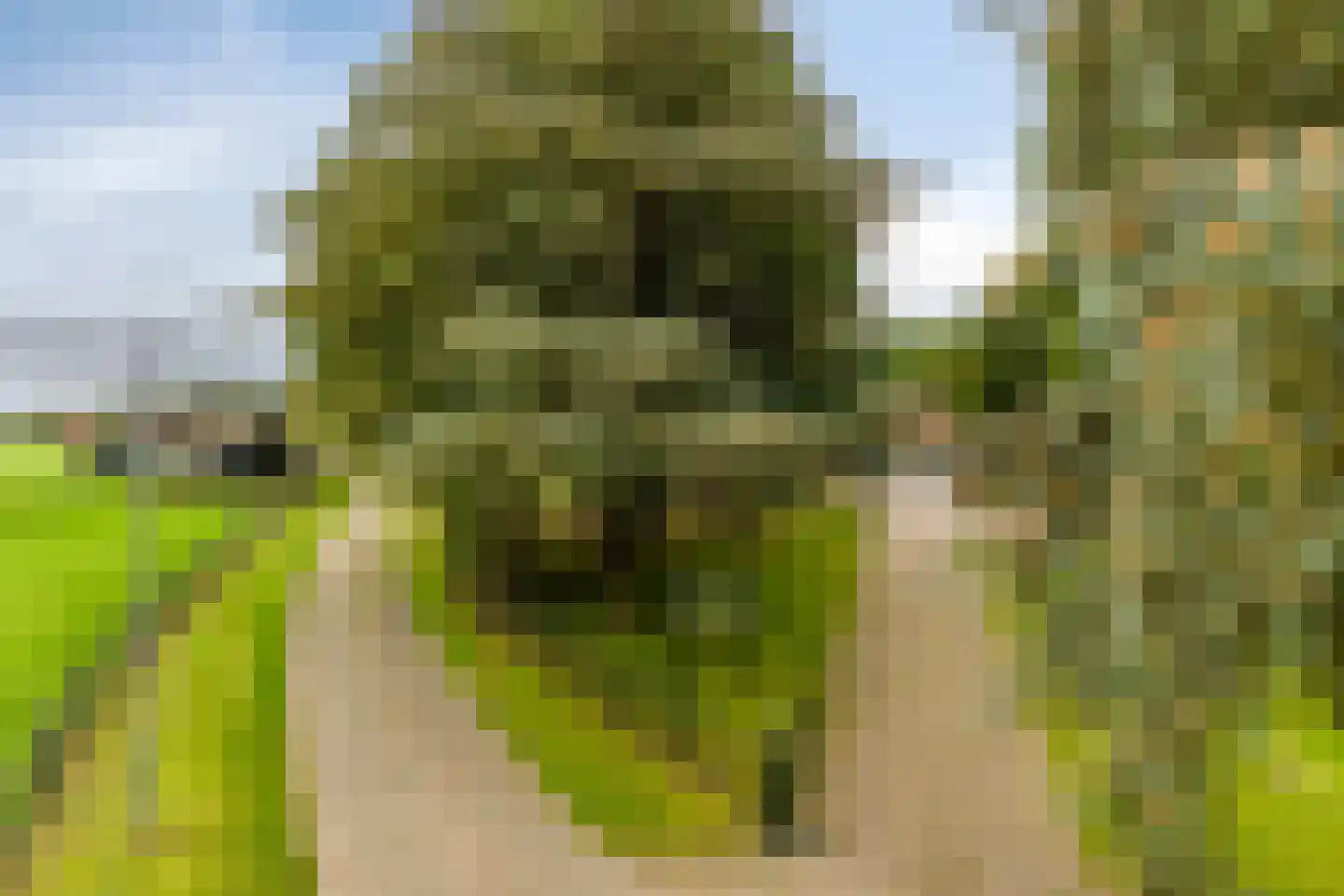 de Belt 4 Wapenveld thumbnail 7
