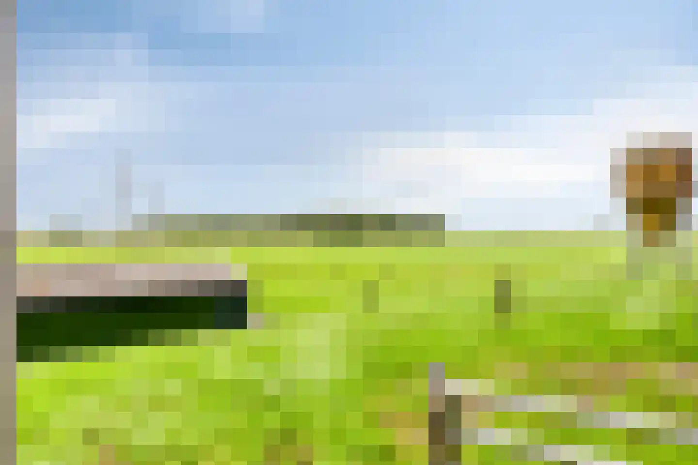 de Belt 4 Wapenveld thumbnail 70
