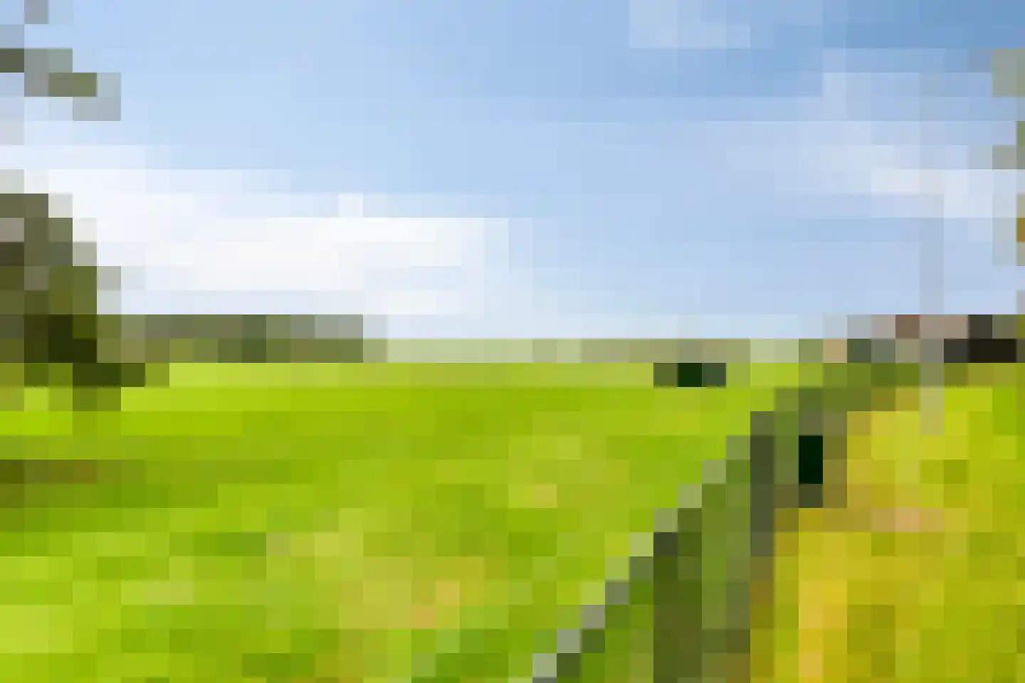 de Belt 4 Wapenveld thumbnail 71