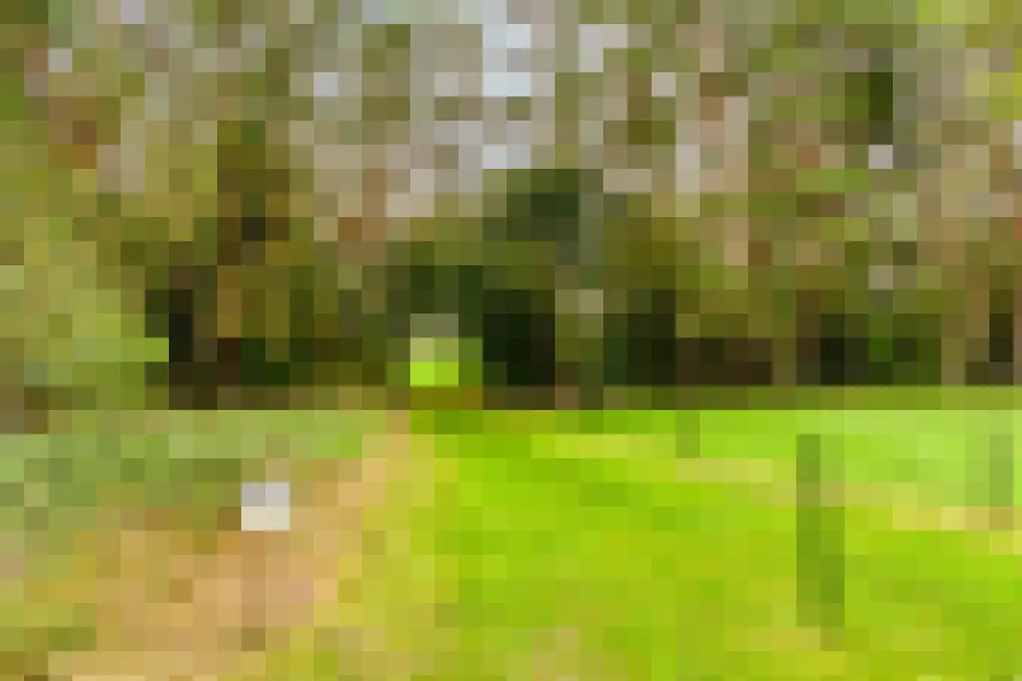de Belt 4 Wapenveld thumbnail 72