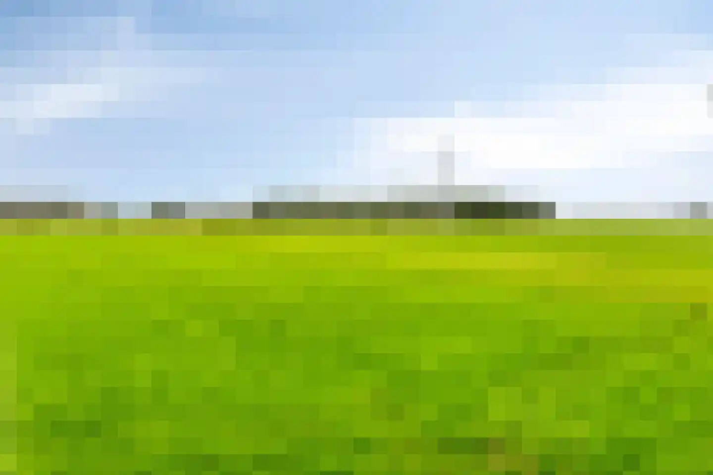 de Belt 4 Wapenveld thumbnail 75