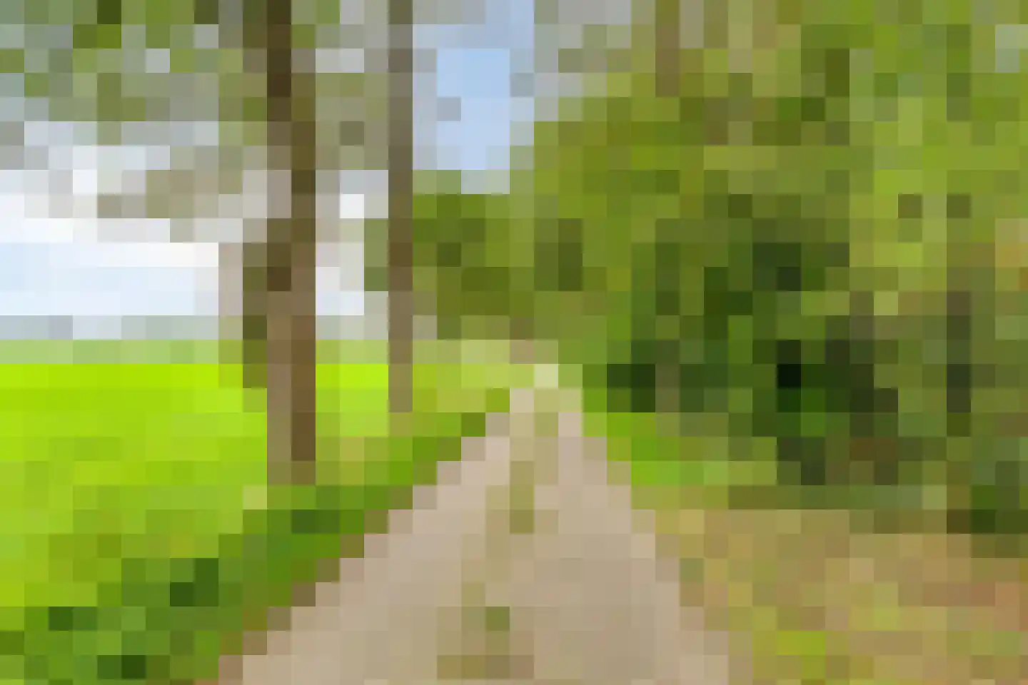 de Belt 4 Wapenveld thumbnail 76