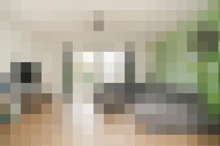 de Bennenmaker 1 Maasbommel thumbnail 11