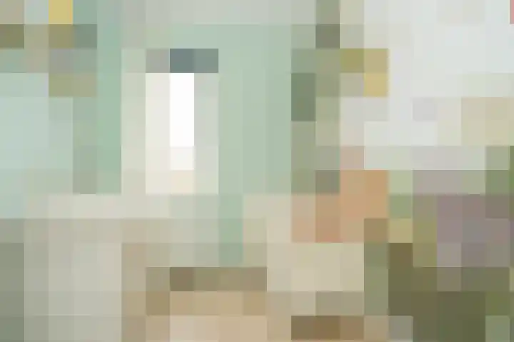 de Bennenmaker 1 Maasbommel thumbnail 29