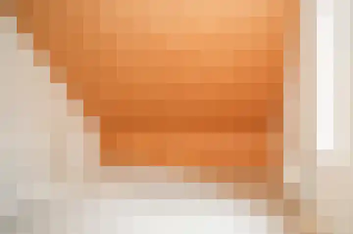 de Bennenmaker 1 Maasbommel thumbnail 32