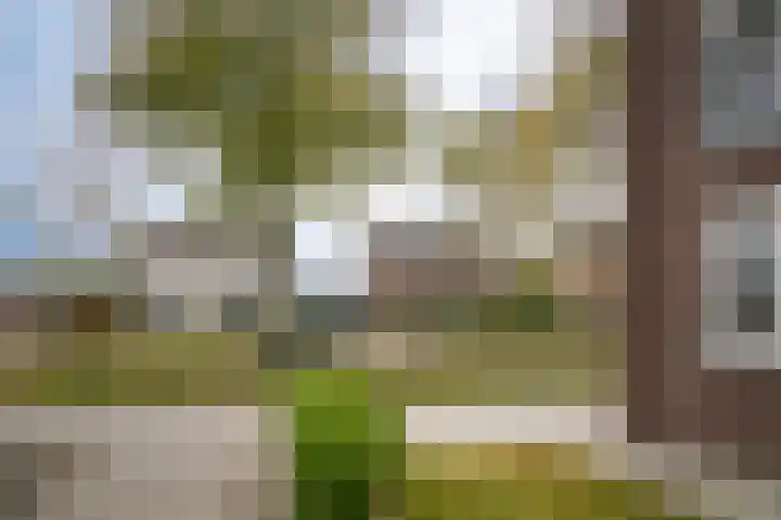 de Bennenmaker 1 Maasbommel thumbnail 36
